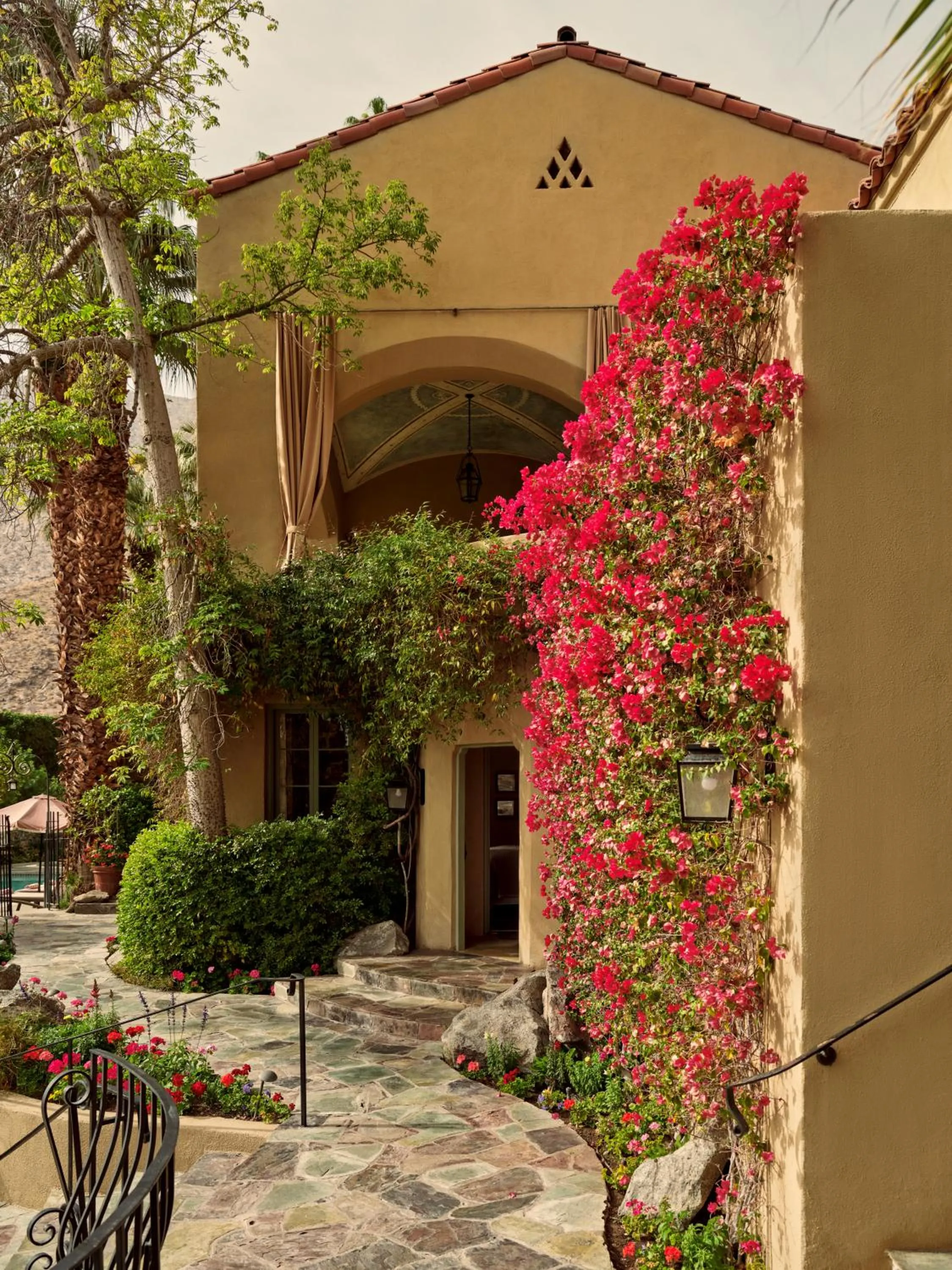 Property building in The Willows Palm Springs