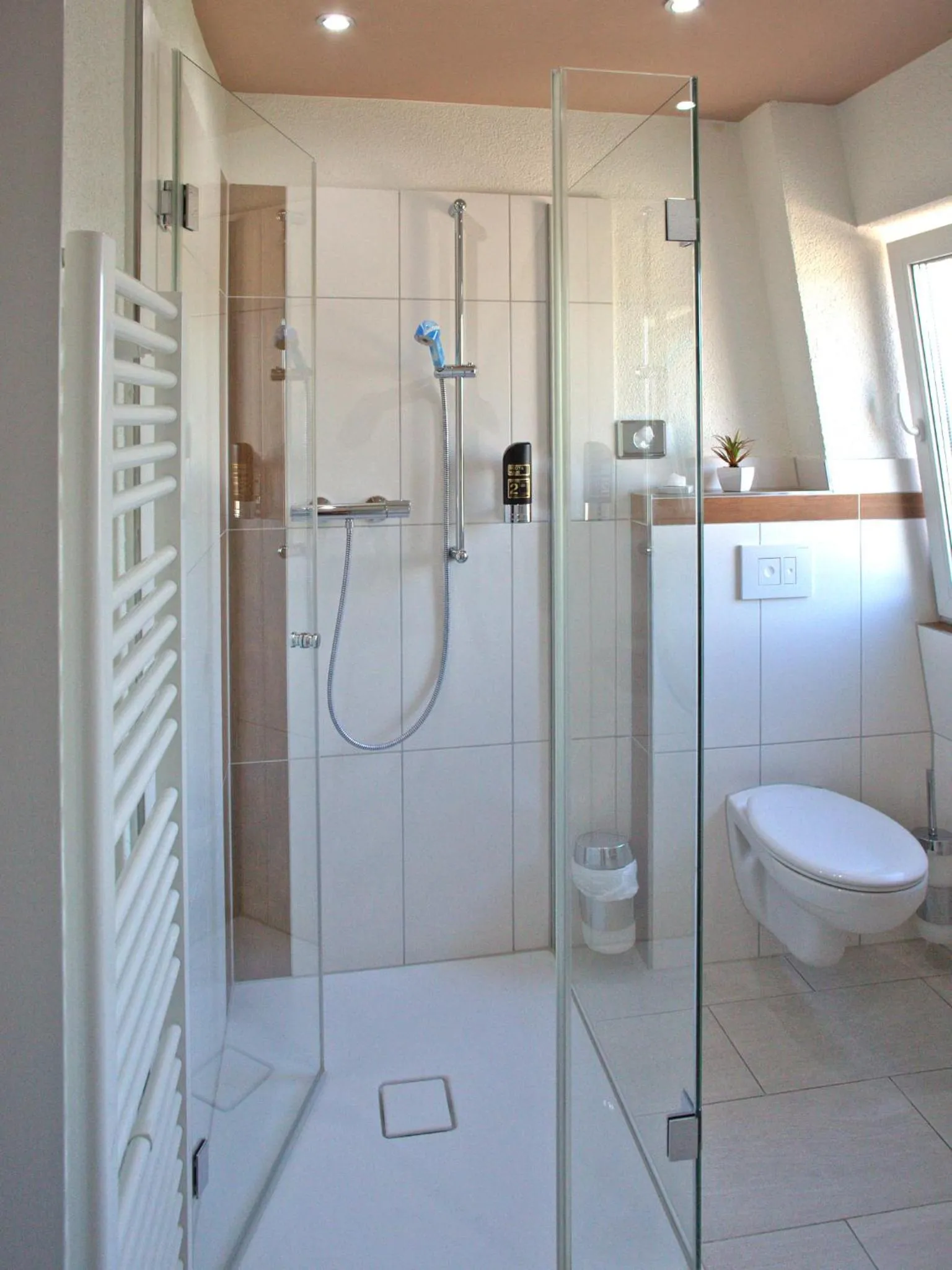 Shower in Hotel Zum Wersehof