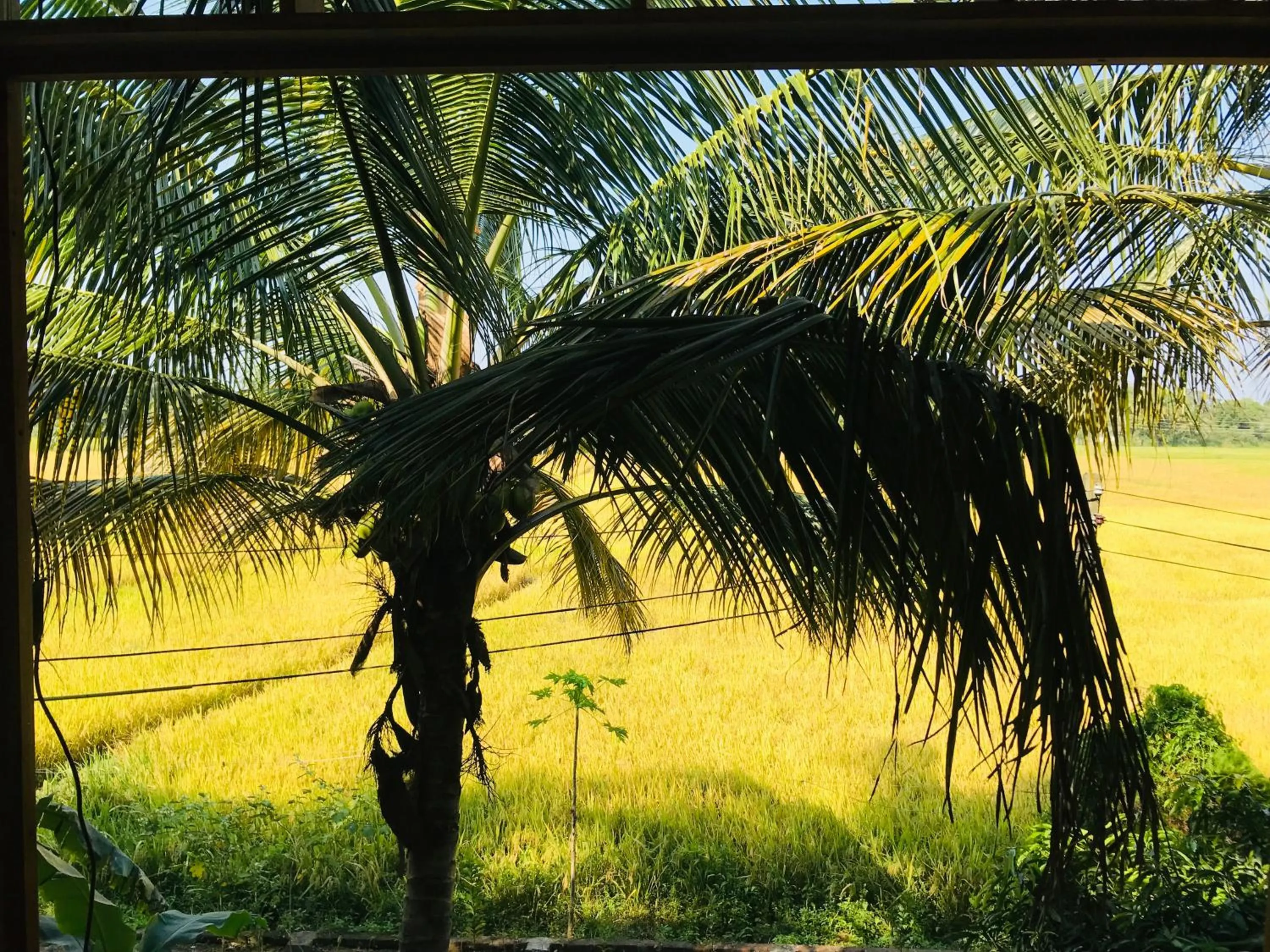 Balcony/Terrace in Rivonway Hotel Polonnaruwa