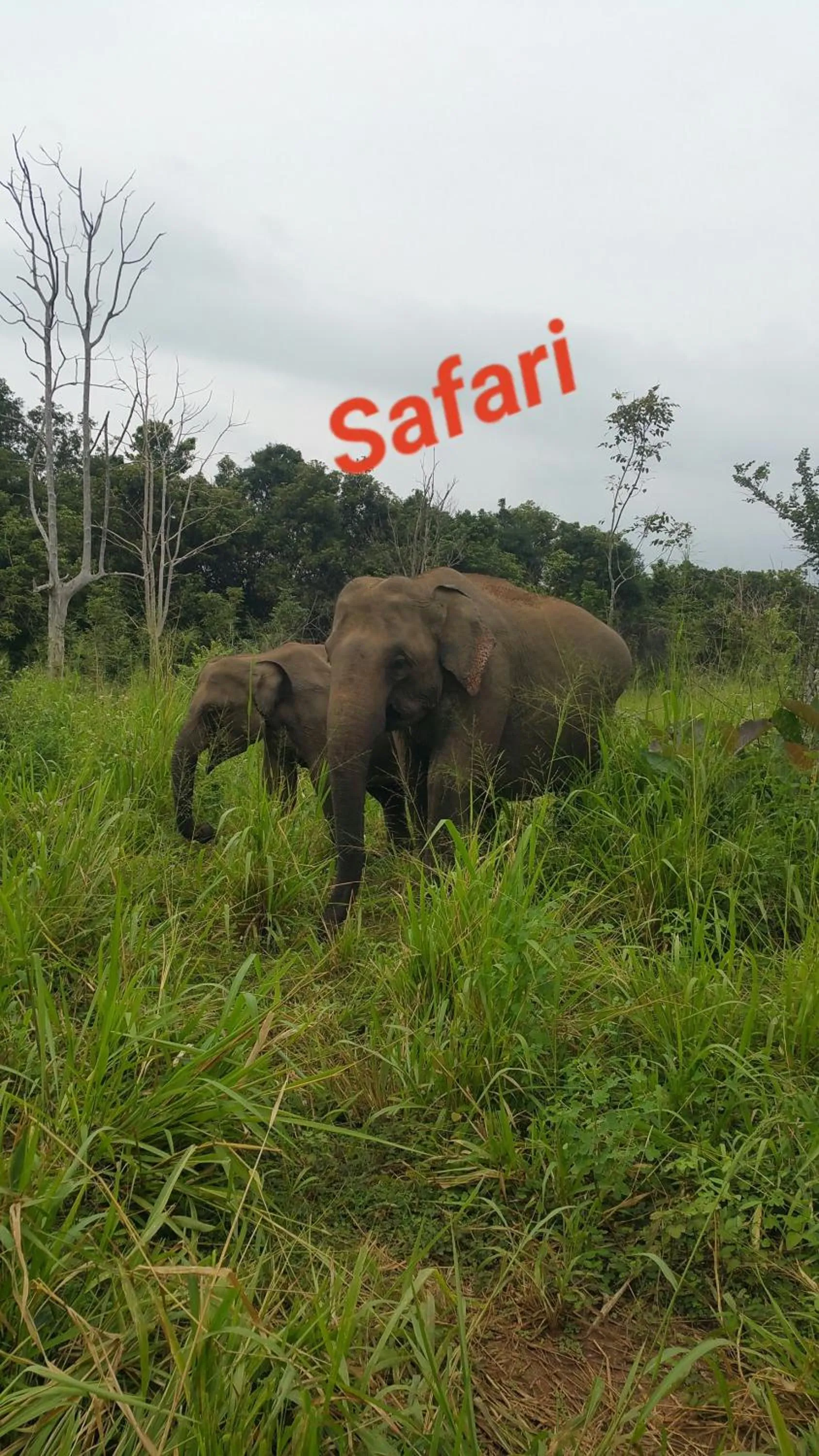 Day in Rivonway Hotel Polonnaruwa