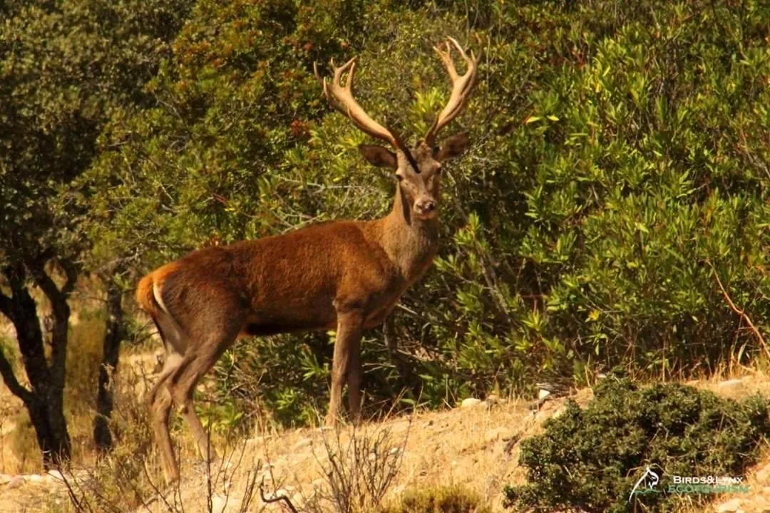 Nearby landmark in El Mesón de Despeñaperros