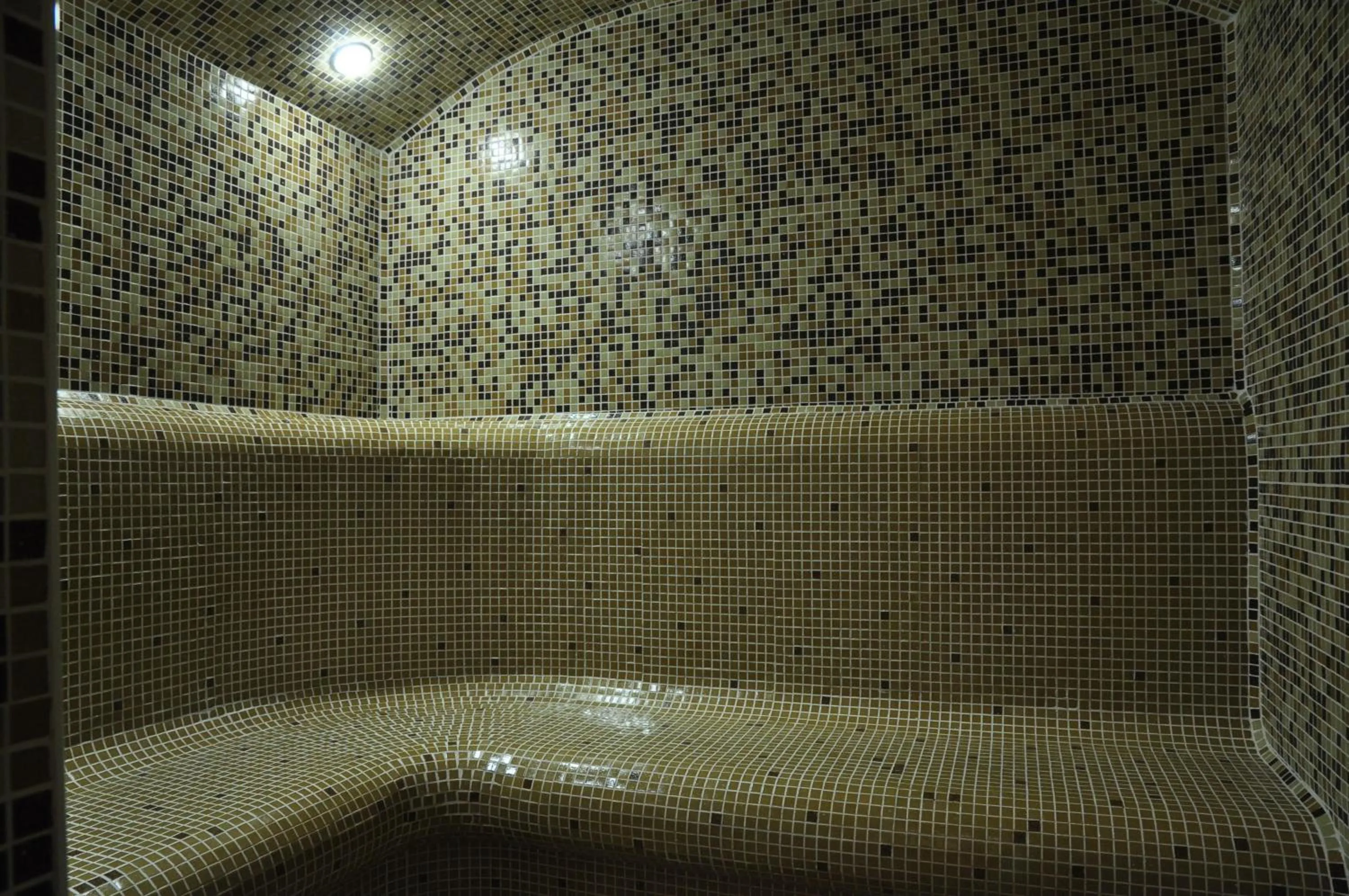 Spa and wellness centre/facilities in SPA Hotel Medicus