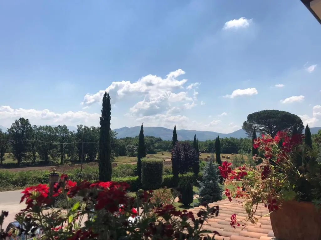 Garden in Villa Cristina