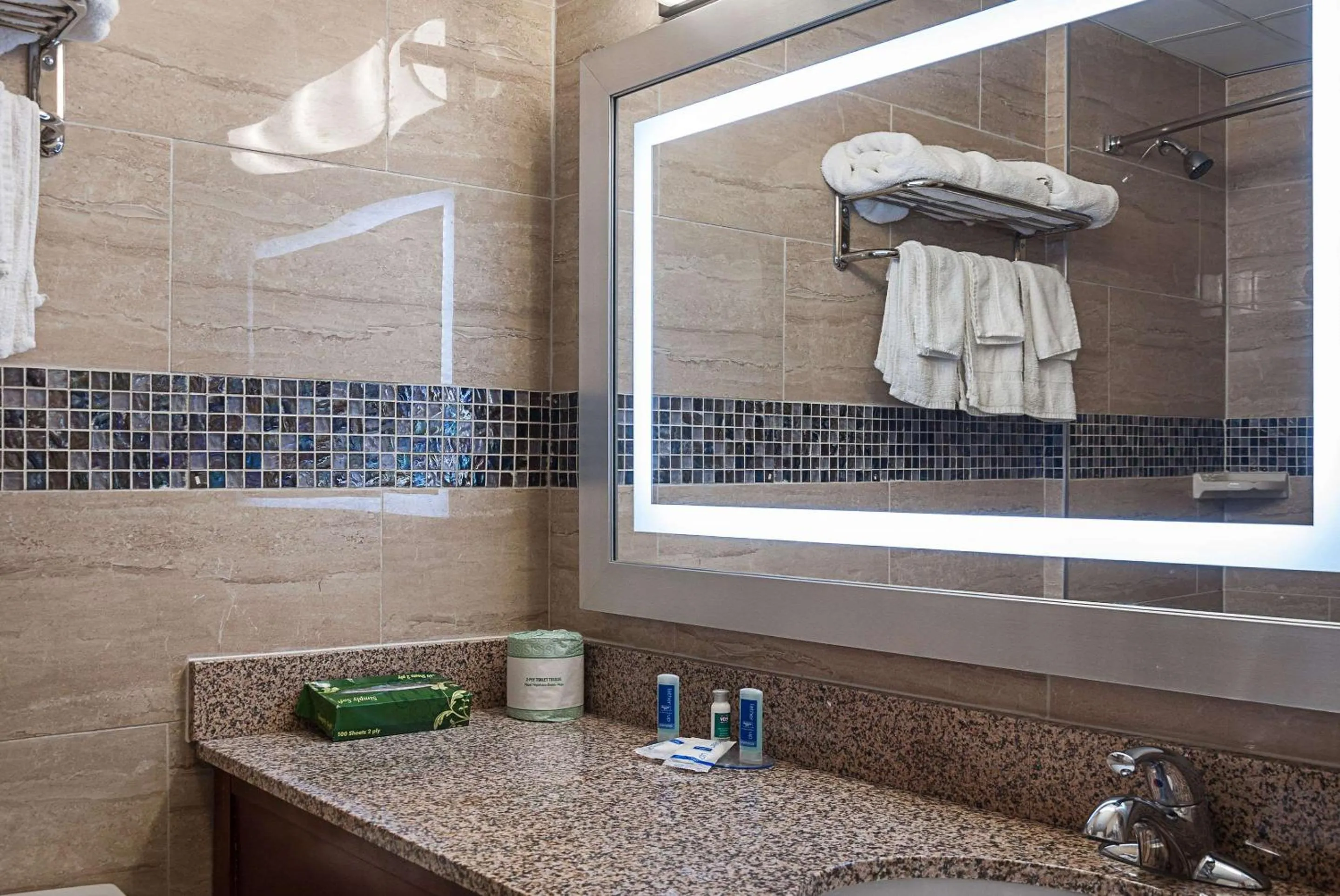 Bedroom in Rodeway Inn Meadowlands