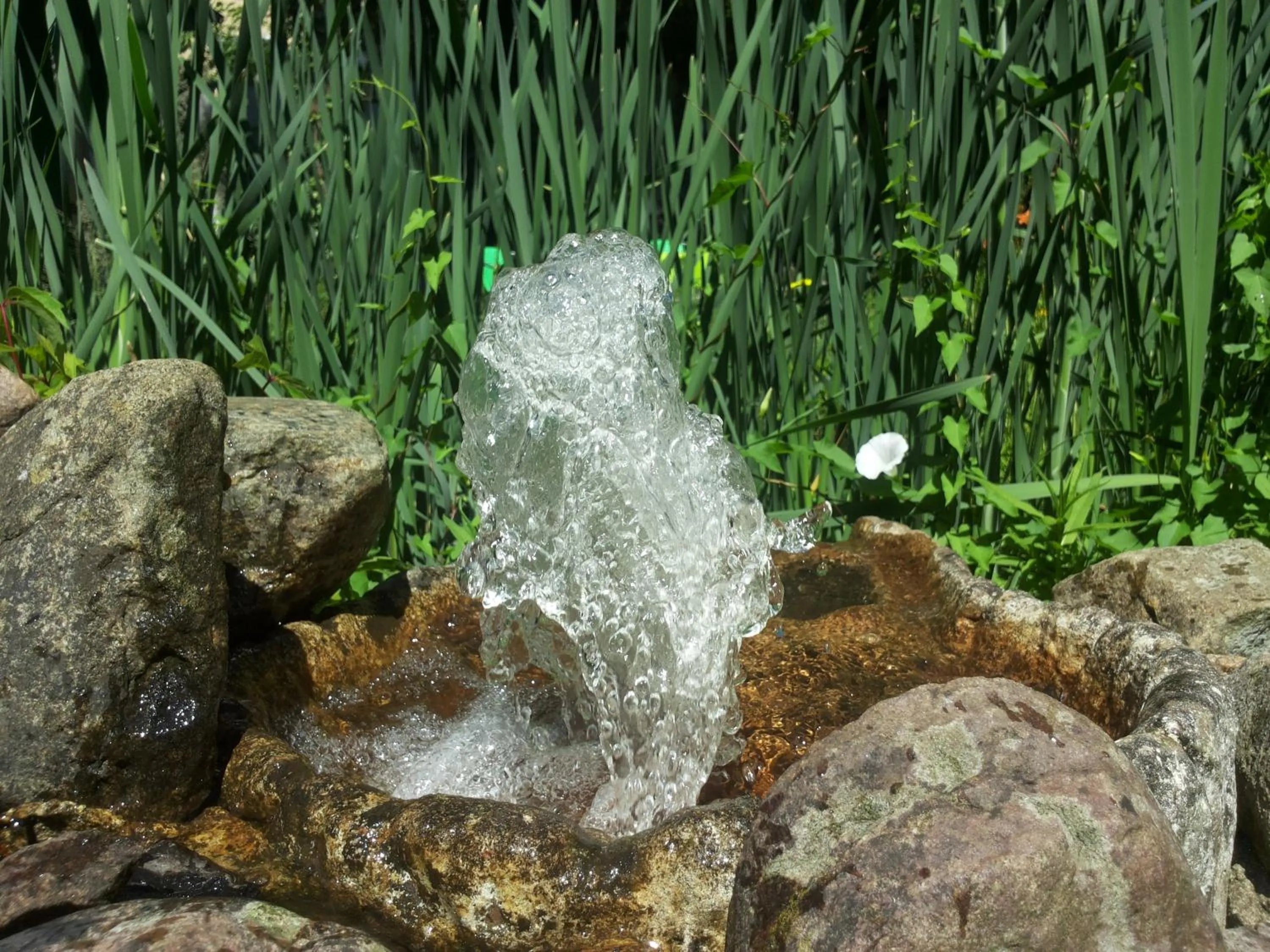 Garden view in Ahorn Hotel