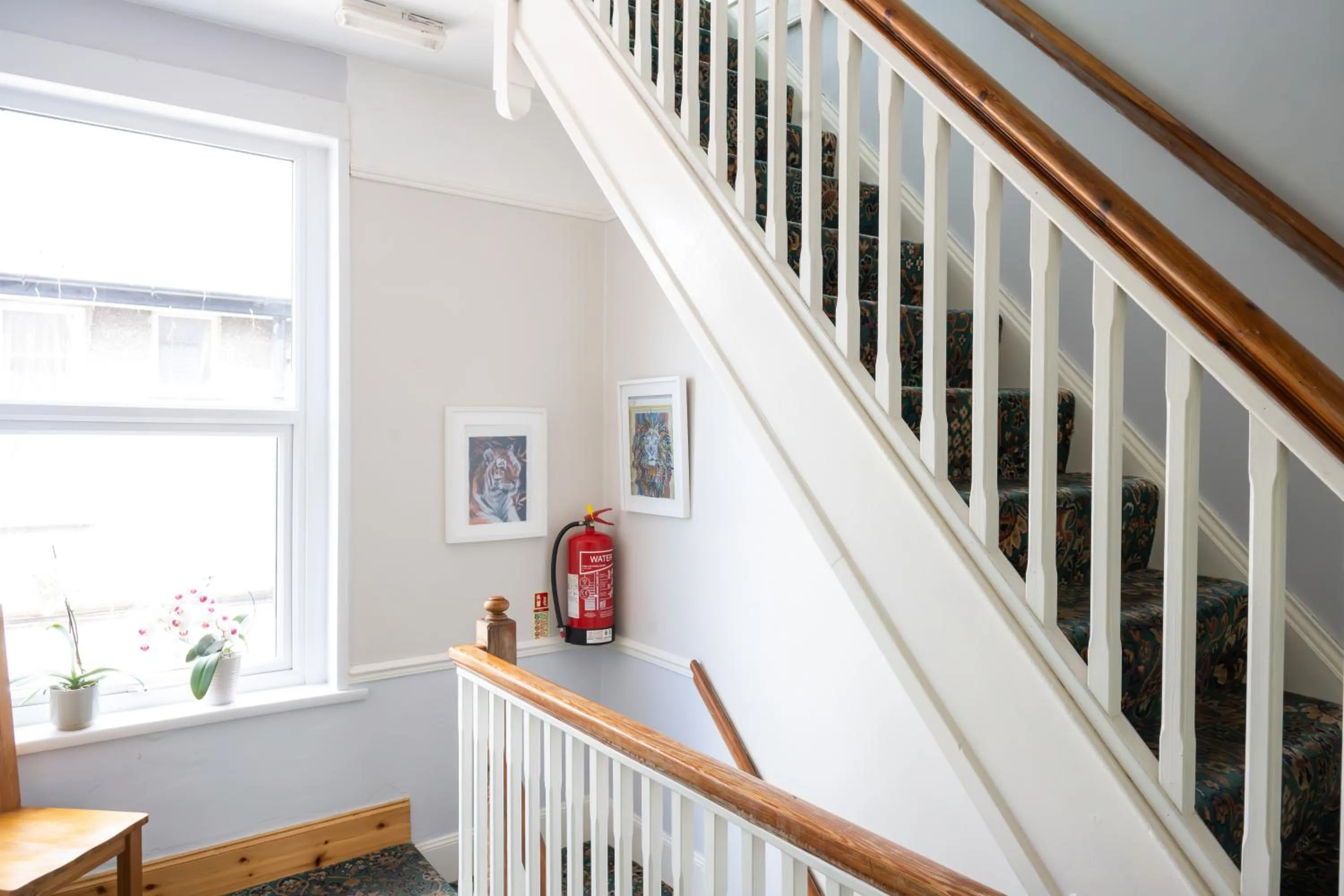 Property building in Dene House