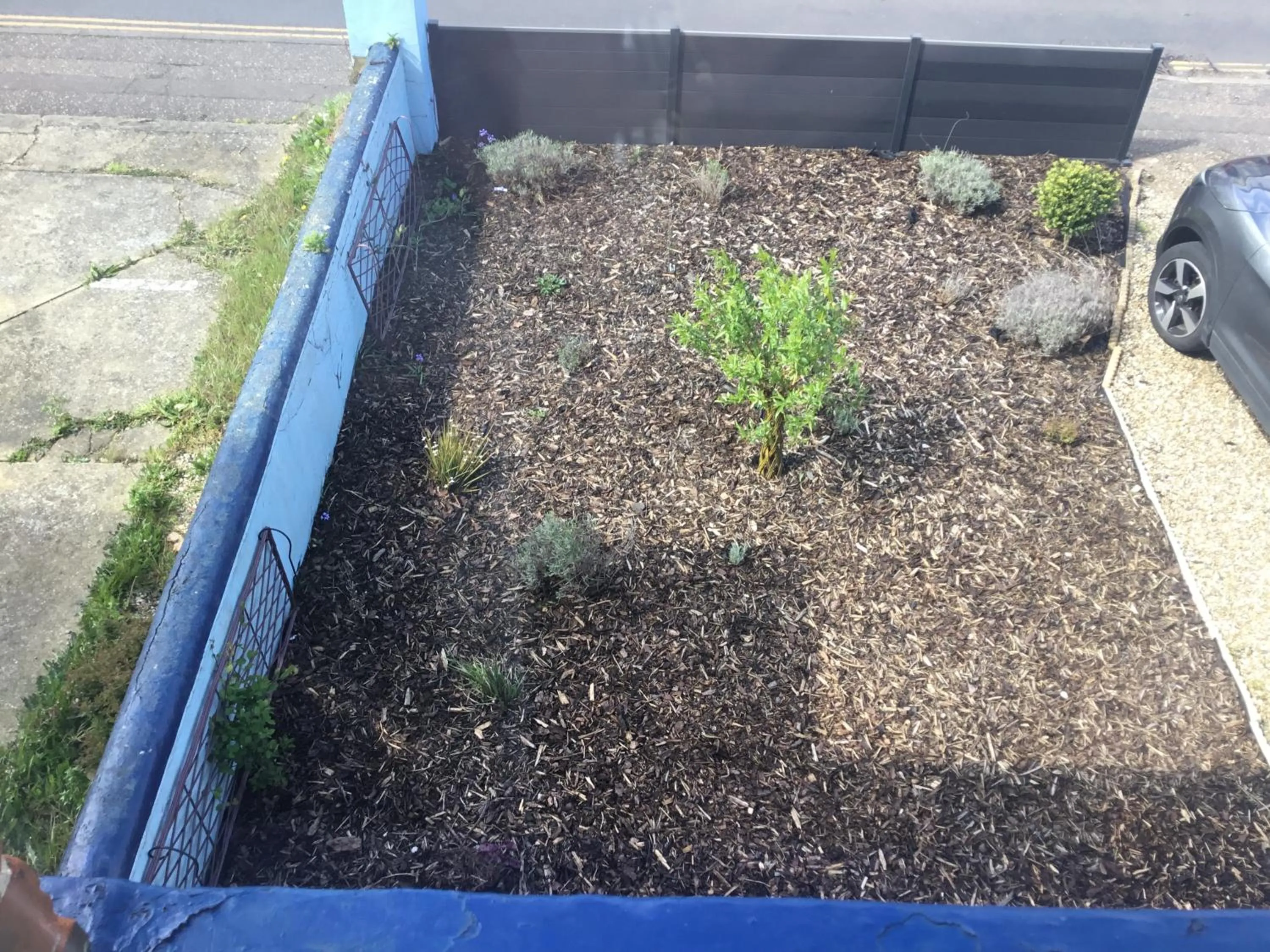 Garden in Dene House