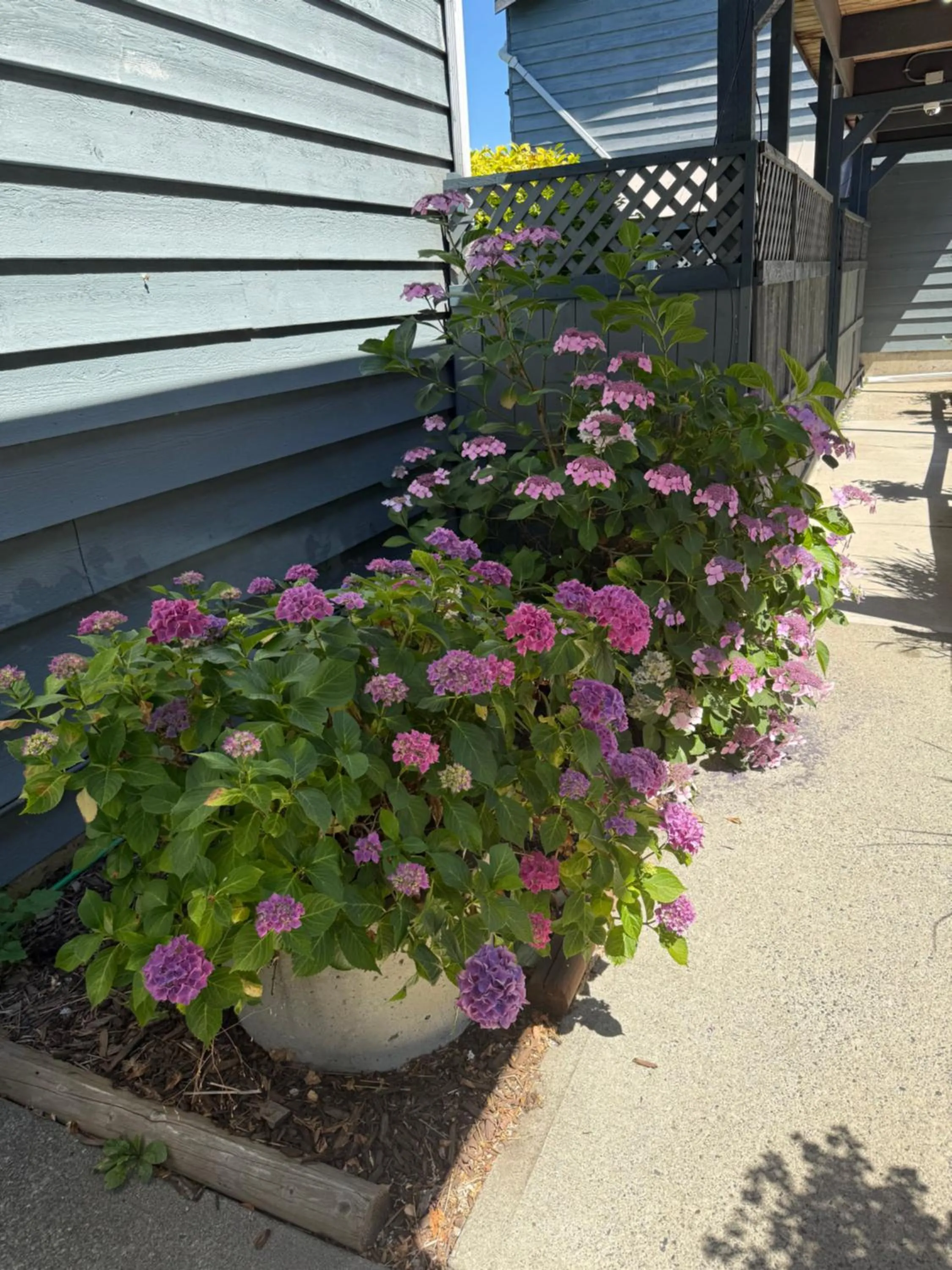 Property building in Sand Pebbles Inn