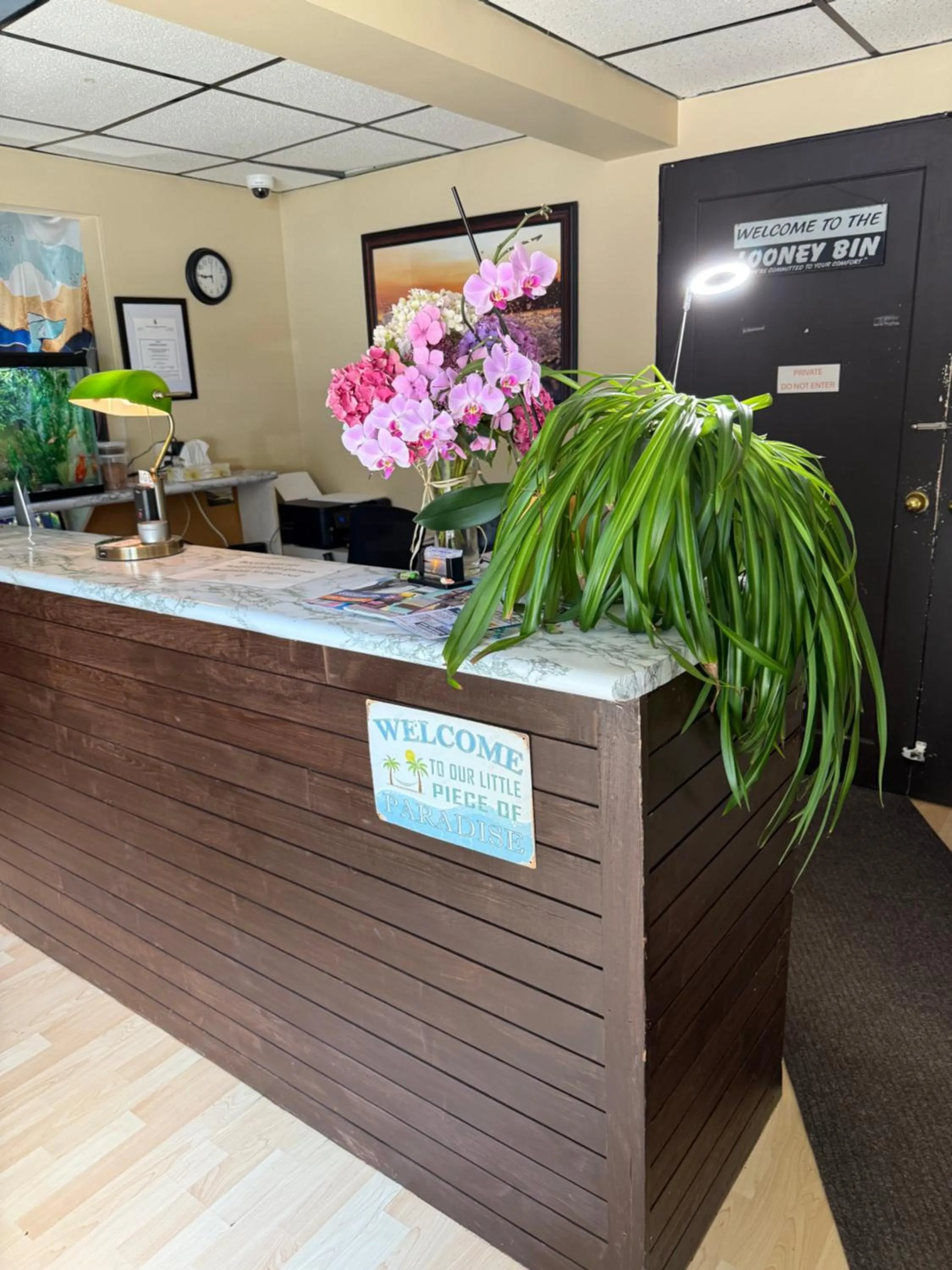 Lobby or reception in Sand Pebbles Inn
