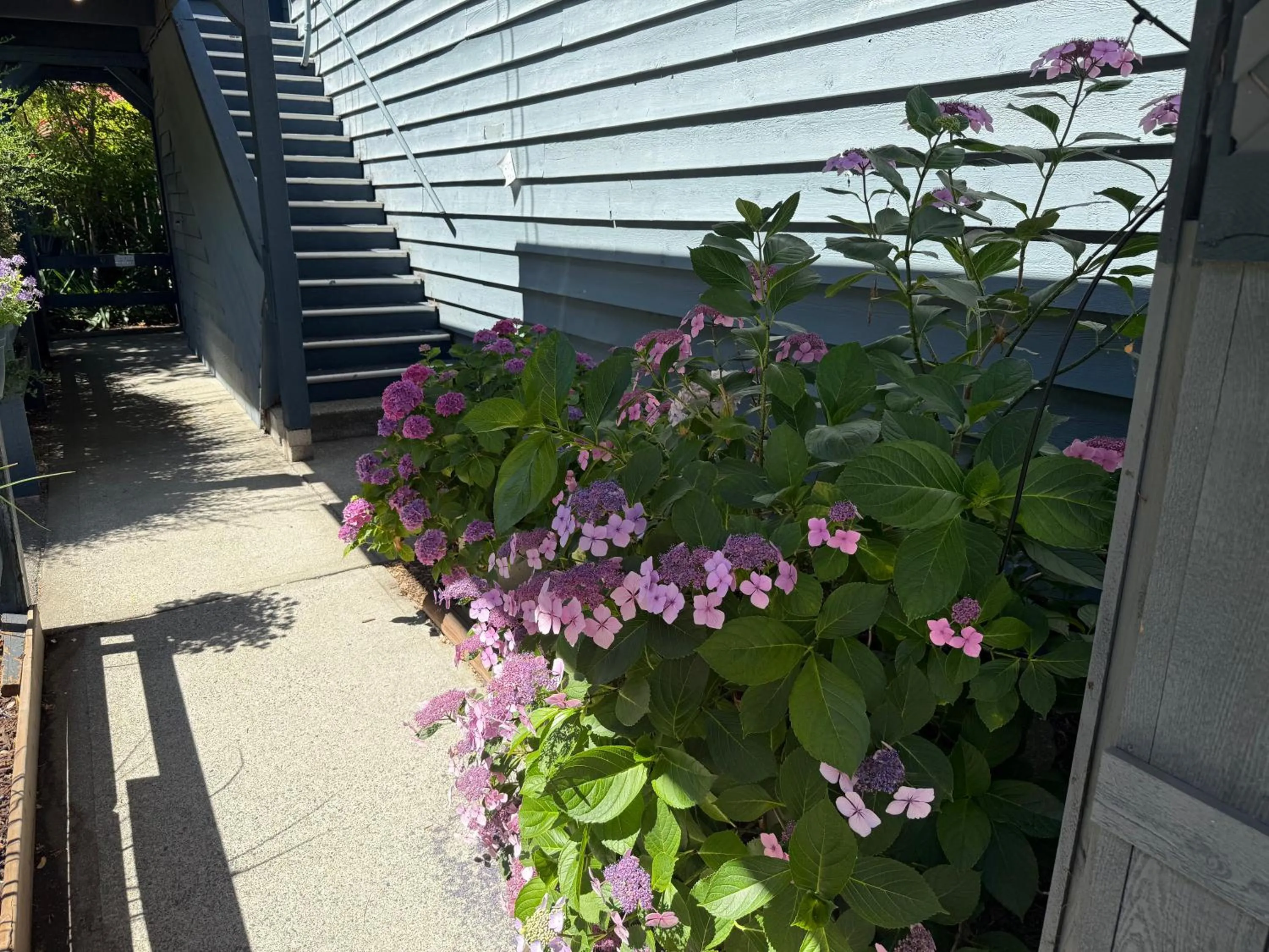 Property building in Sand Pebbles Inn