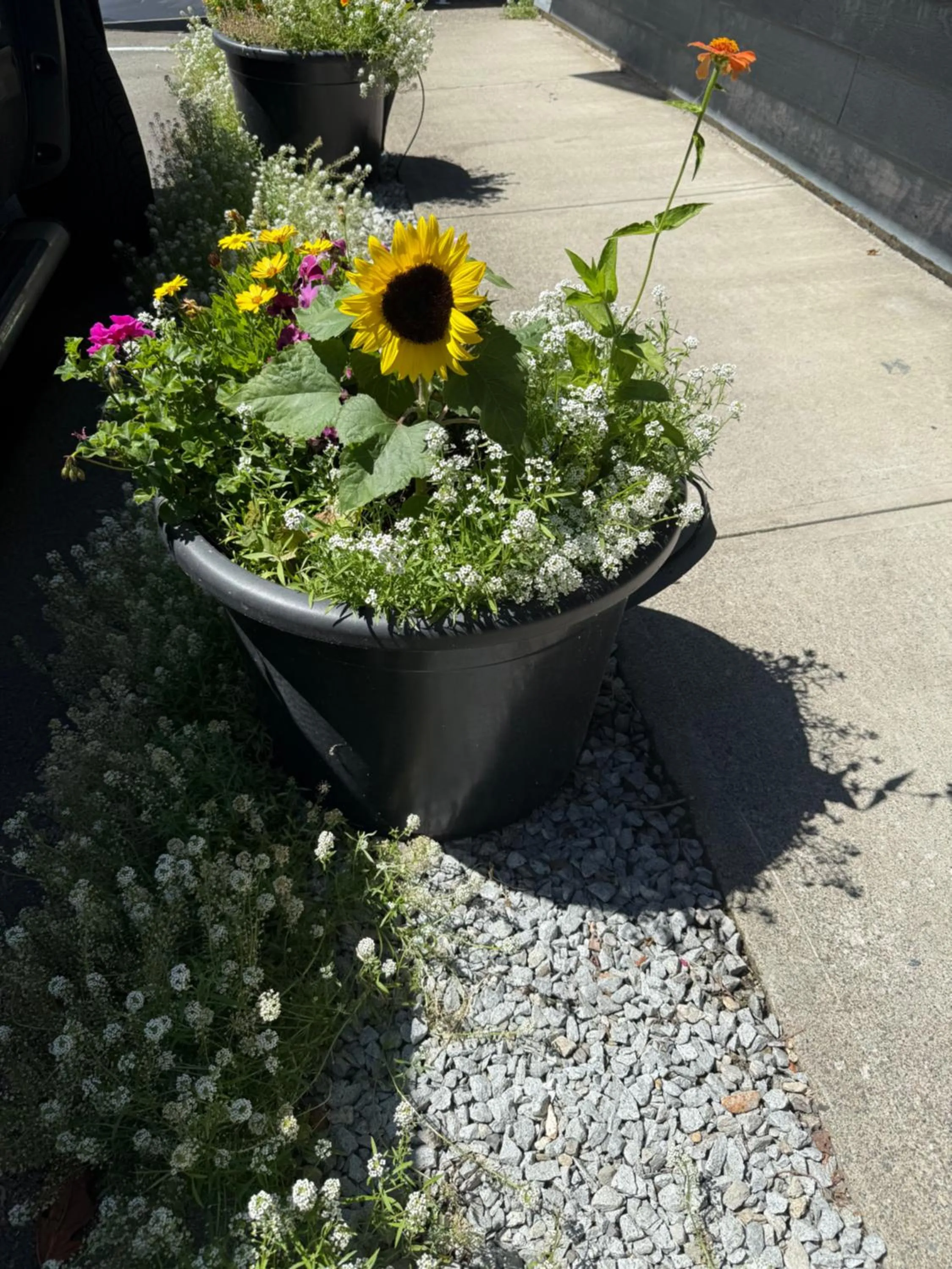 Property building in Sand Pebbles Inn