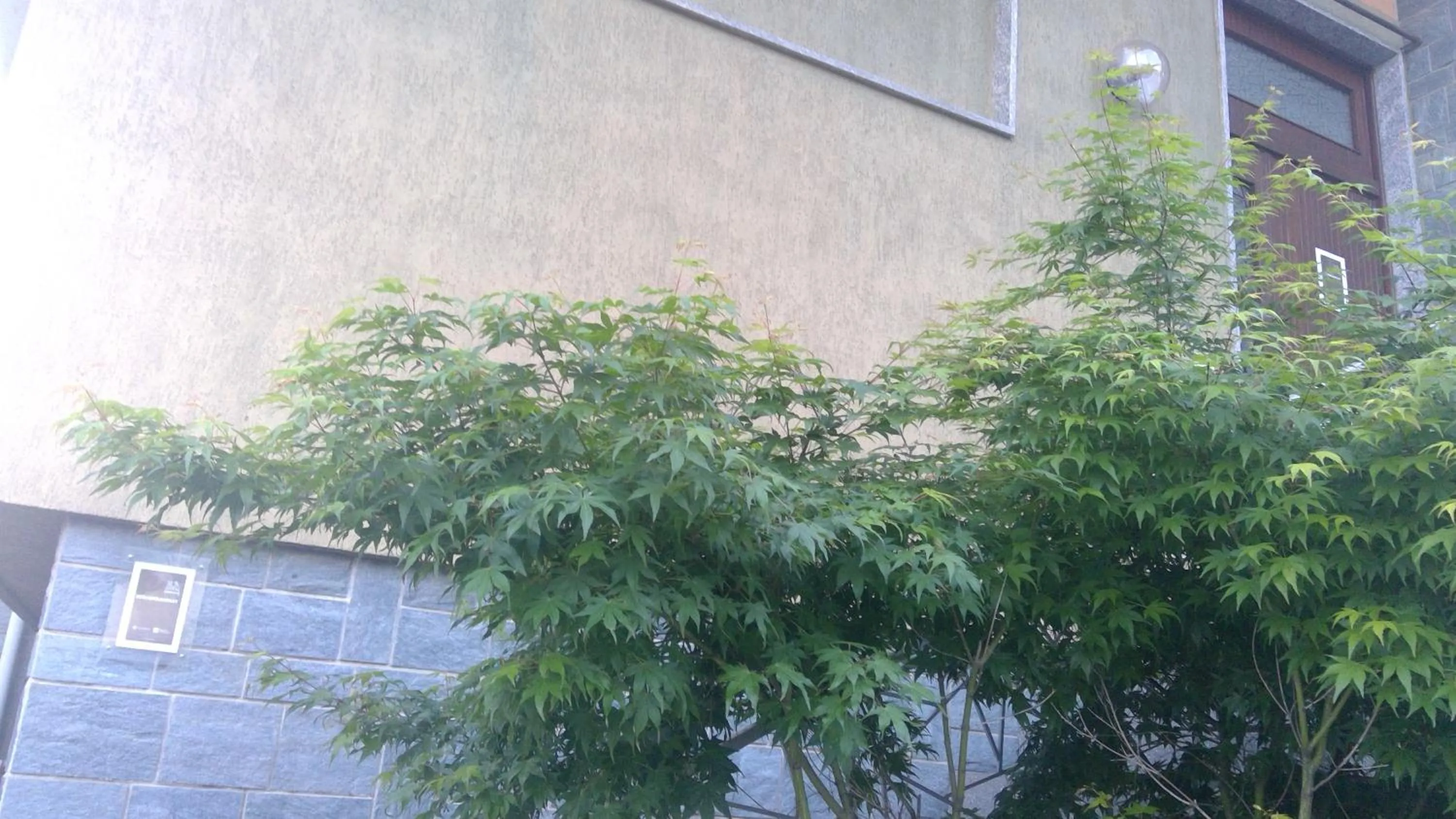 Property building in B&B Magenta