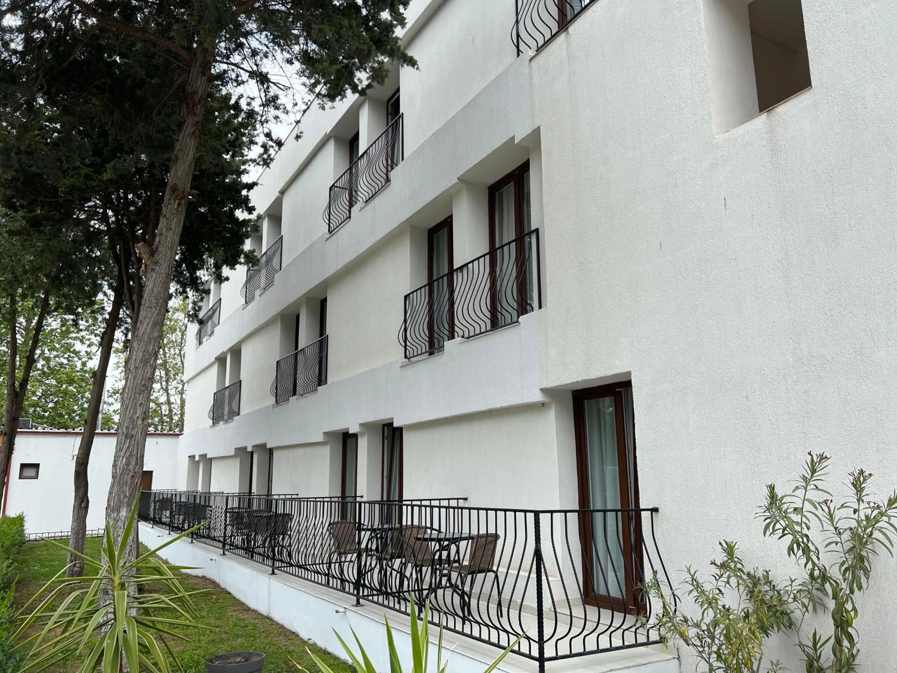 Property building in Hotel Violeta