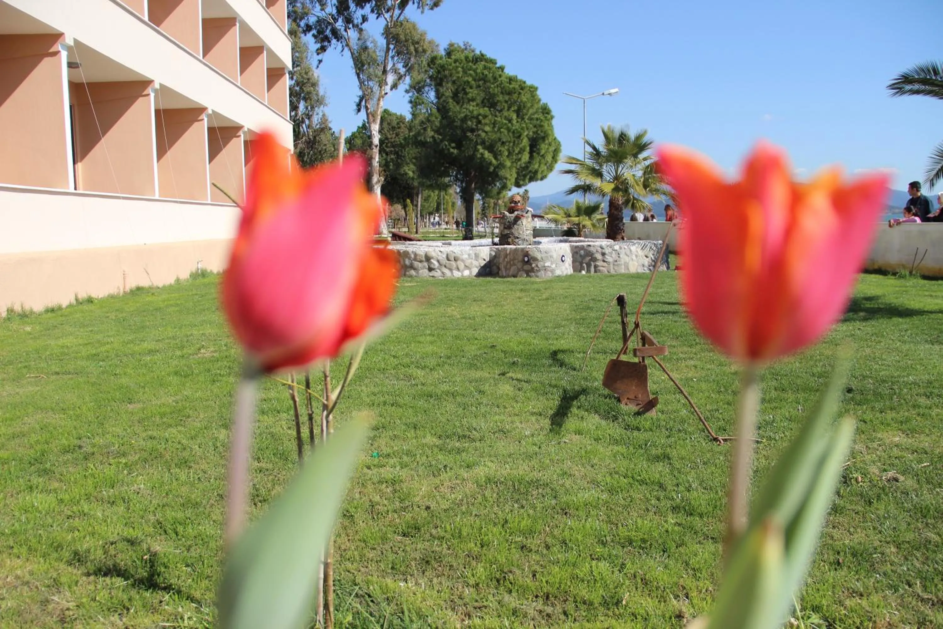 Garden view in Kaunos Hotel