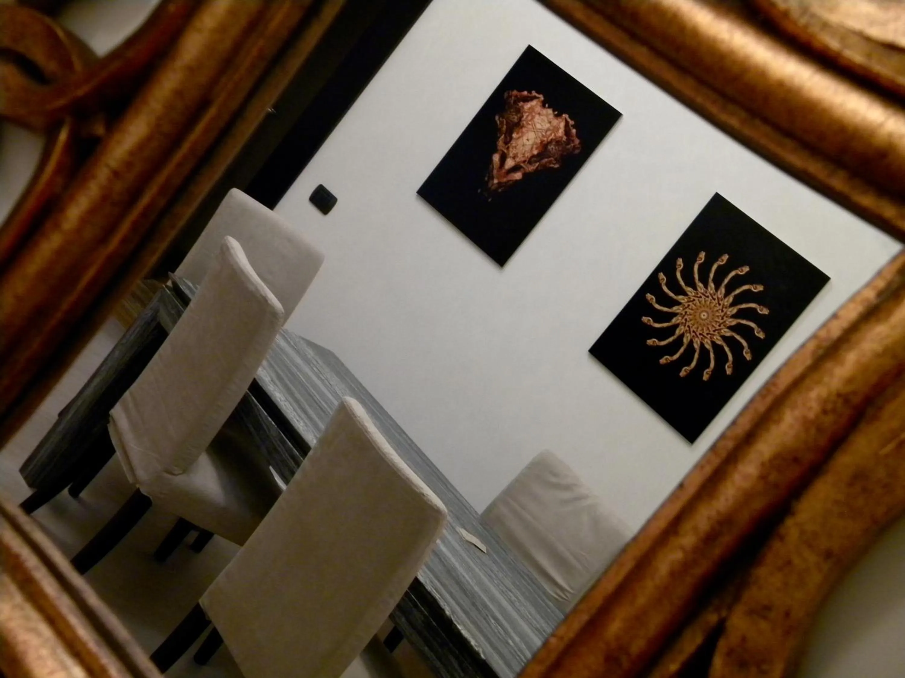 Lobby or reception in Alvino Suite And Breakfast