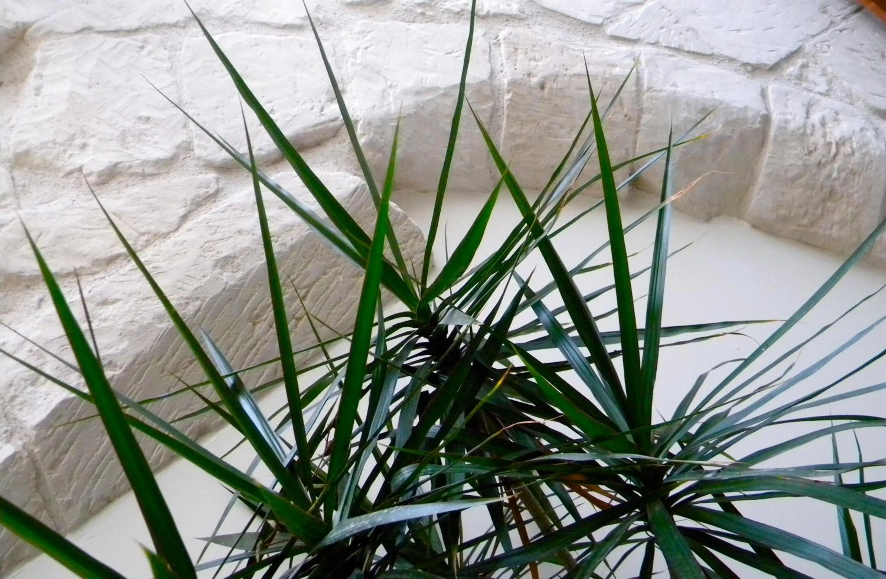 Day in Alvino Suite And Breakfast