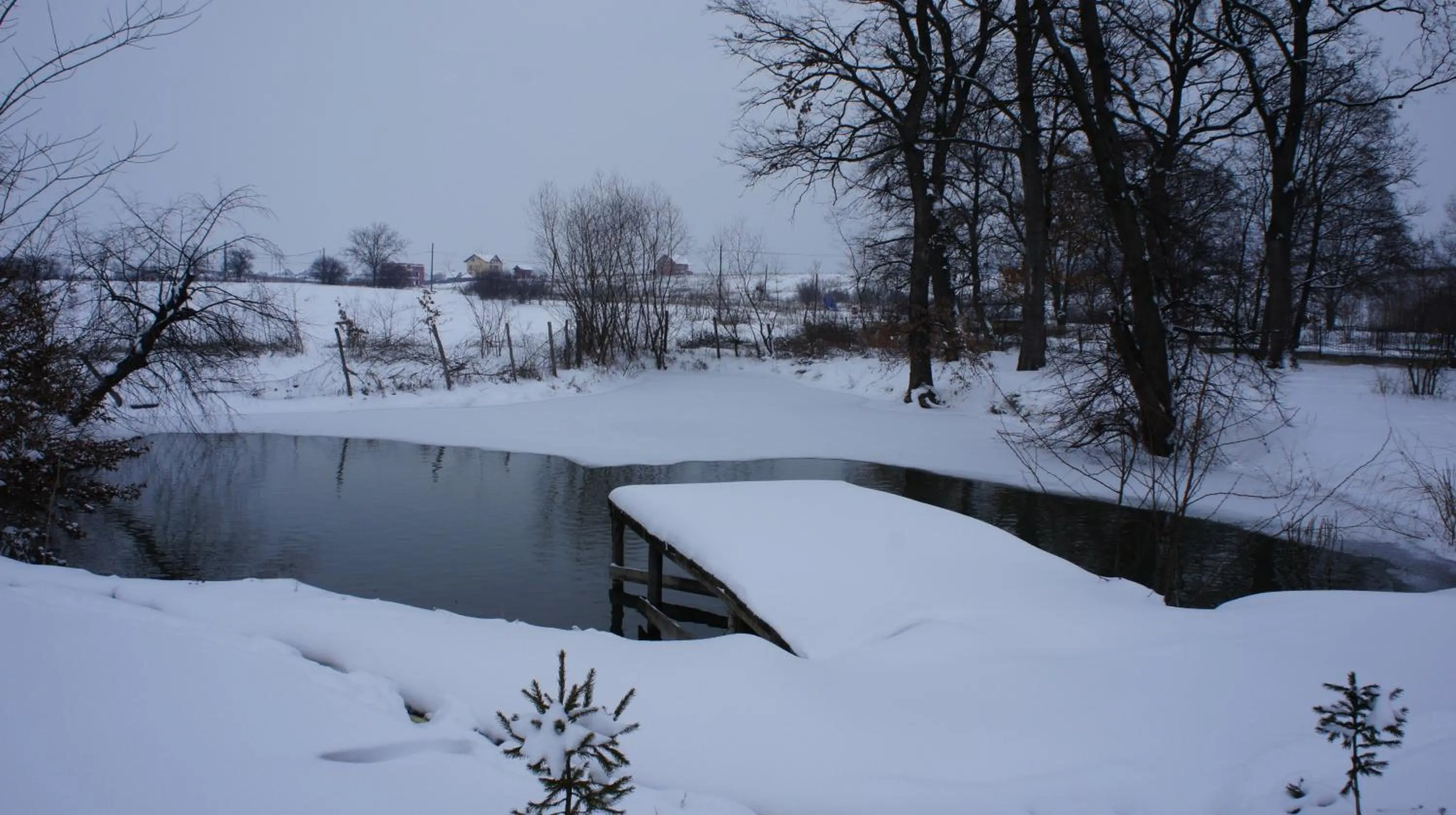 Winter in Hotel President