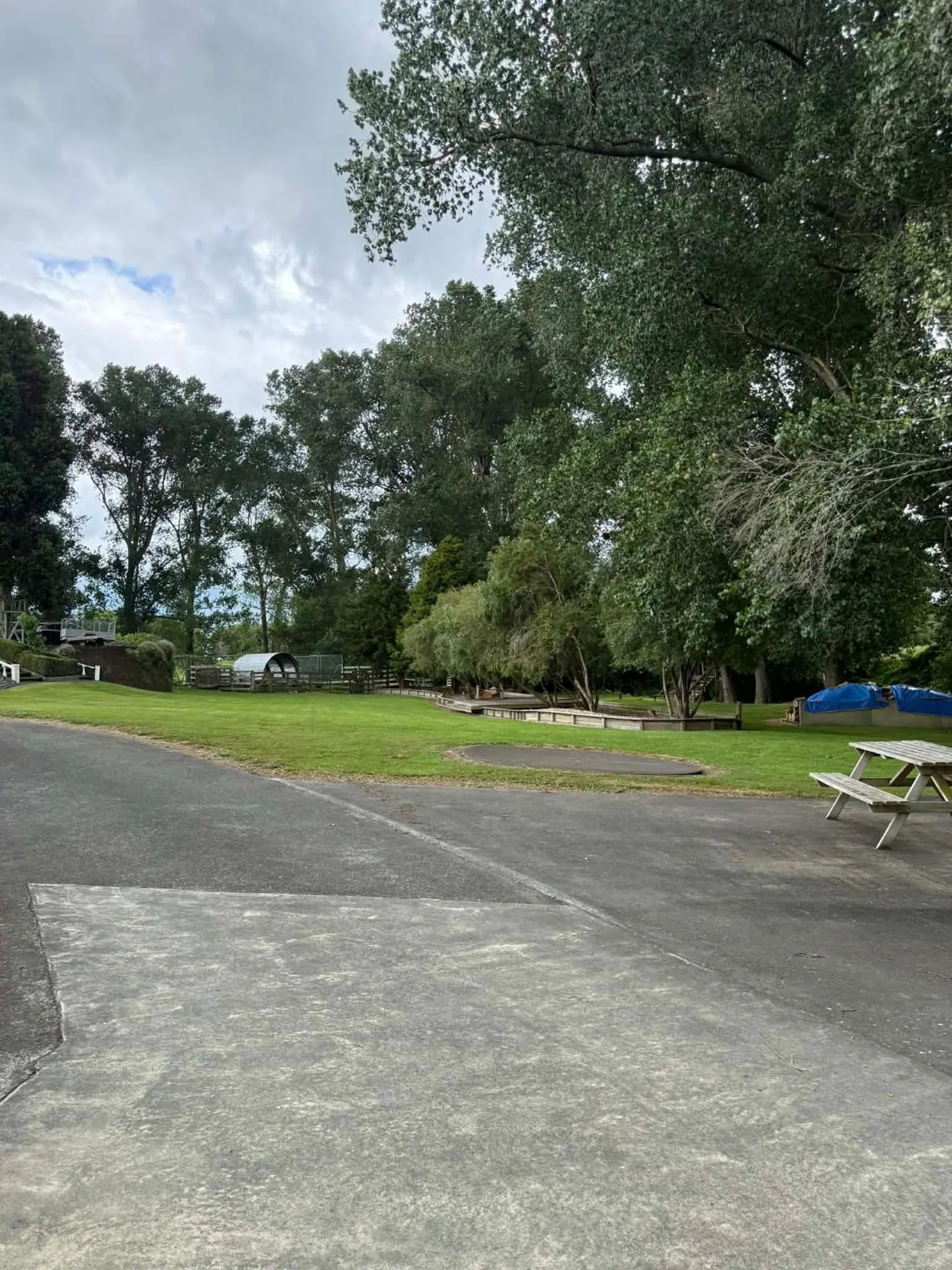 Garden in Poplar Creek