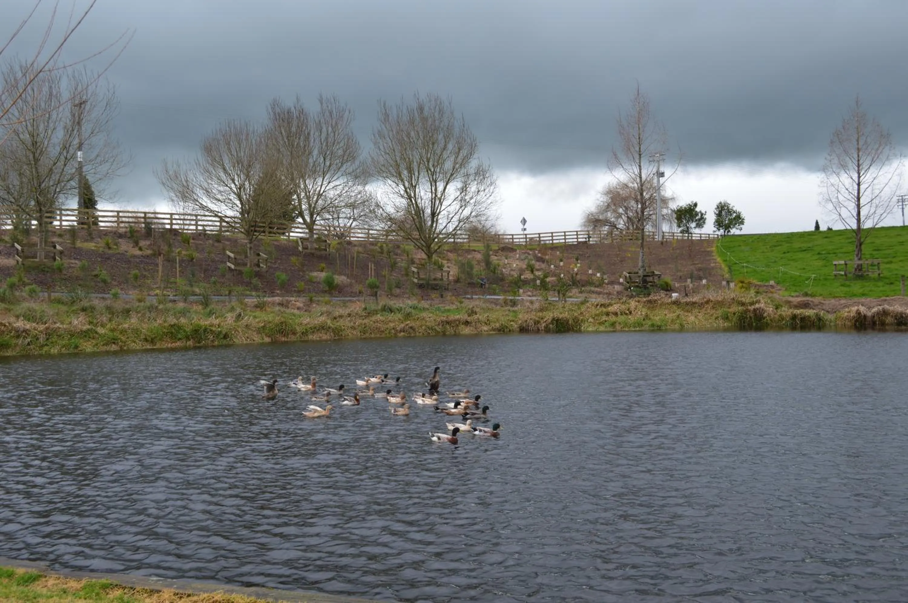 Property building in Poplar Creek