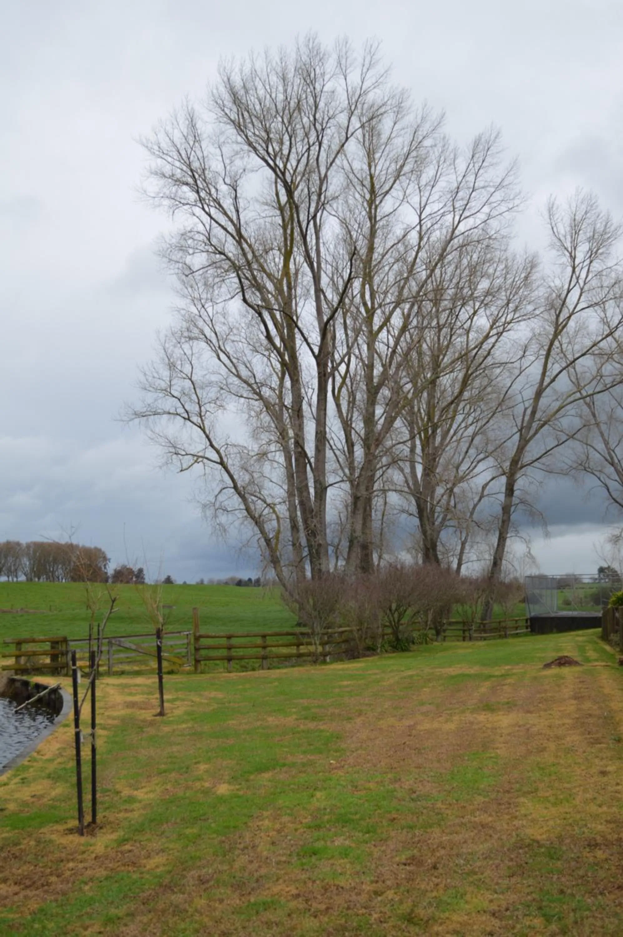 Property building in Poplar Creek