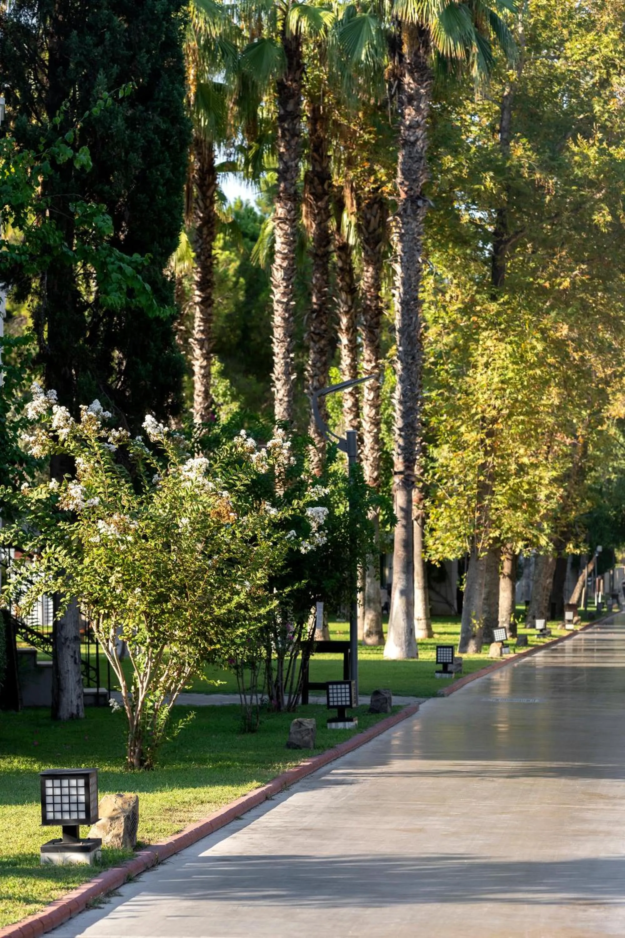 Garden in Sherwood Exclusive Kemer - Kids Concept