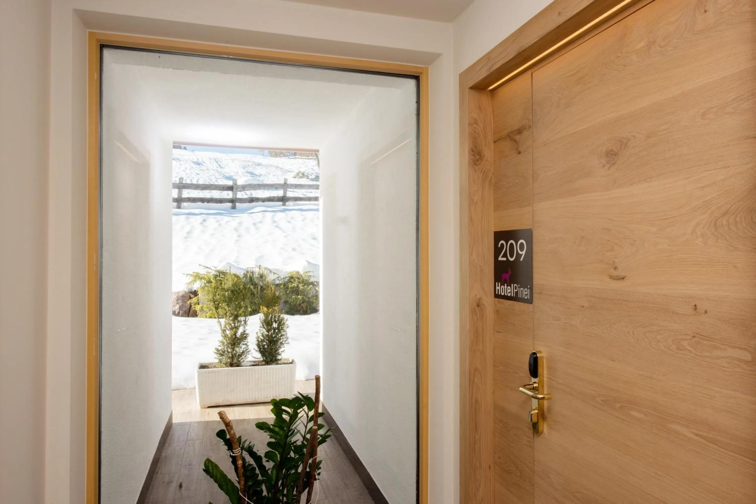 Decorative detail in Hotel Pinei