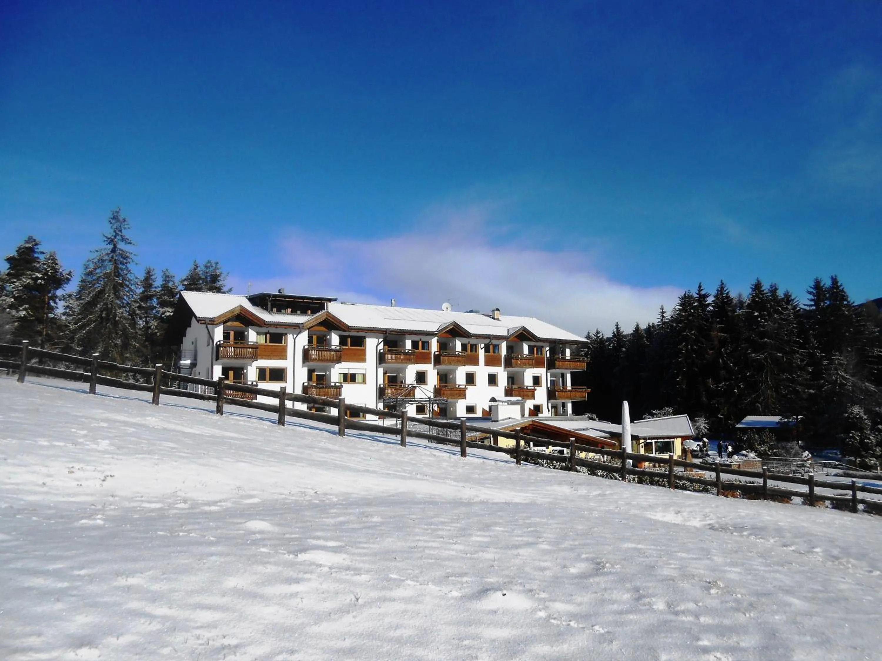 Facade/entrance in Hotel Pinei