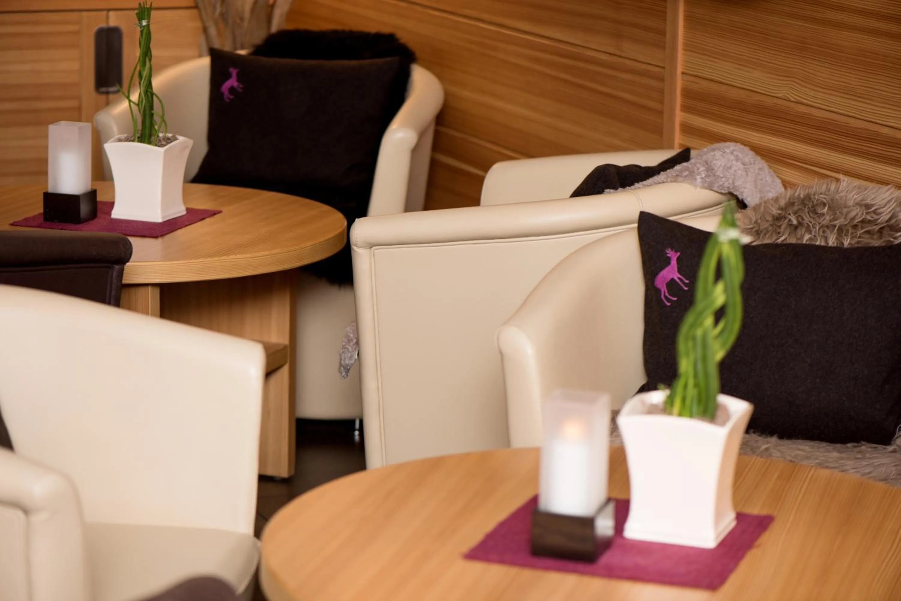 Lounge or bar in Hotel Pinei