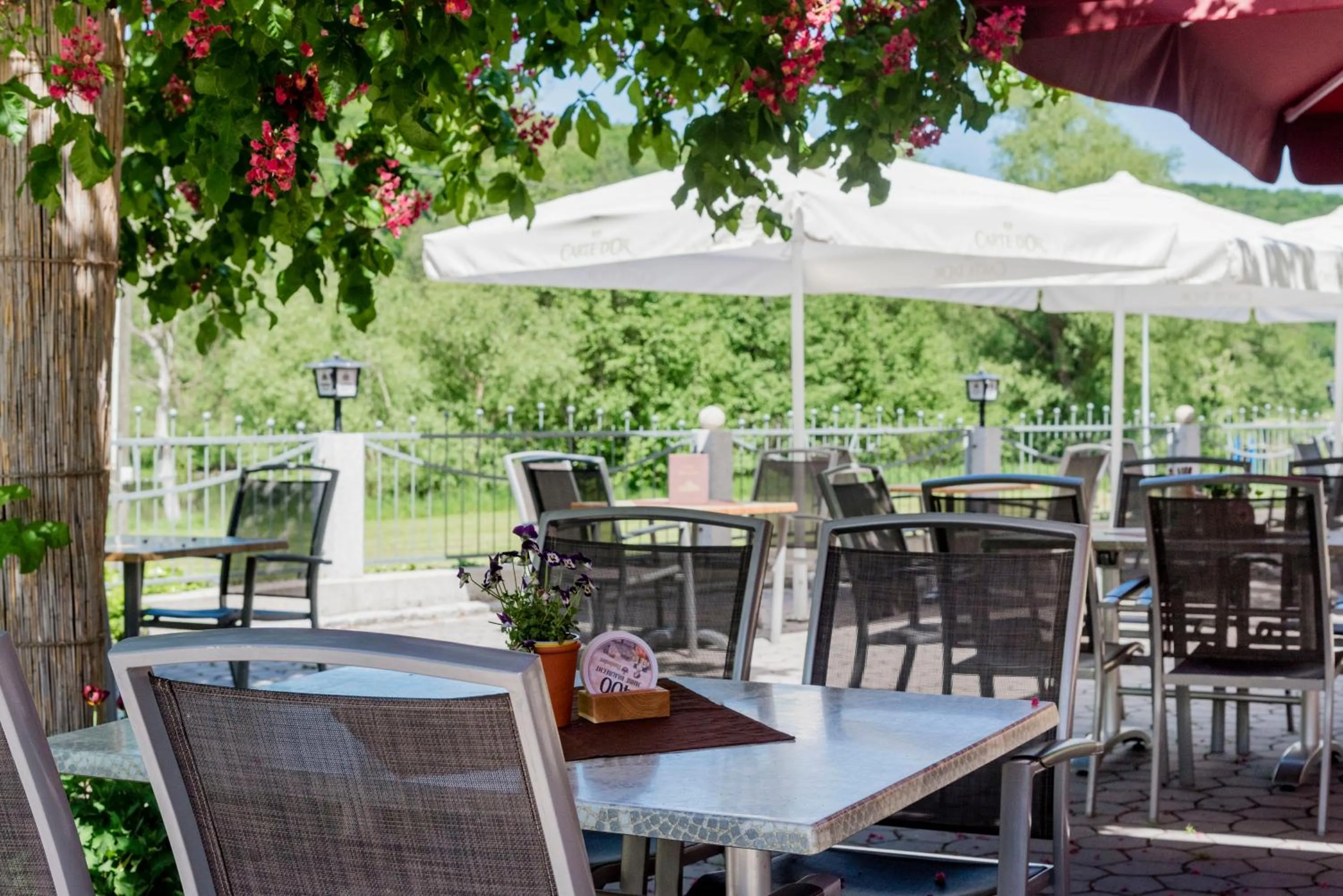Restaurant/places to eat in Landpension Birnthaler