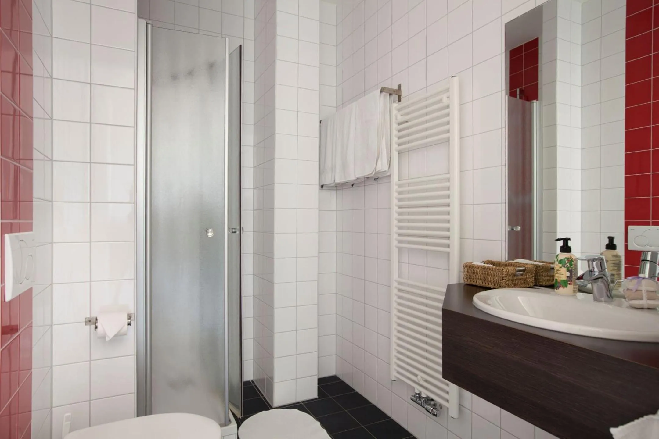 Shower in Boutique Hotel De Raetskamer