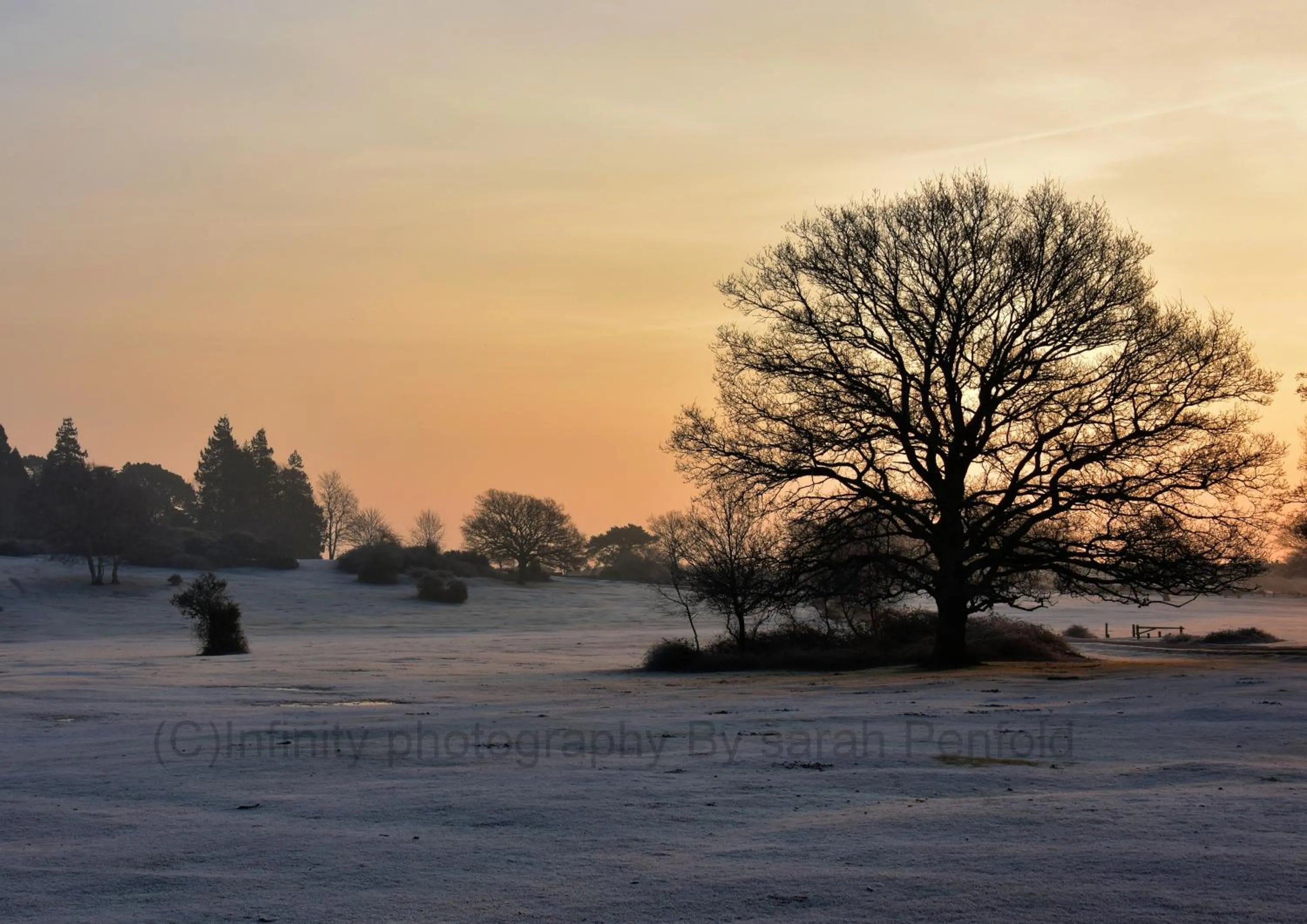 Natural landscape in Rosedale Bed and Breakfast