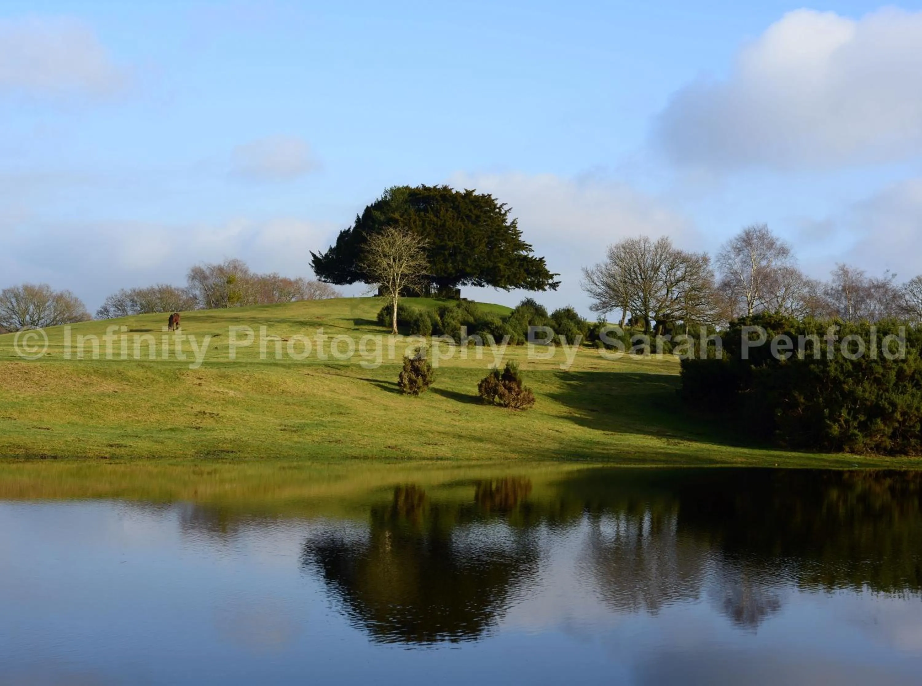 Natural landscape in Rosedale Bed and Breakfast