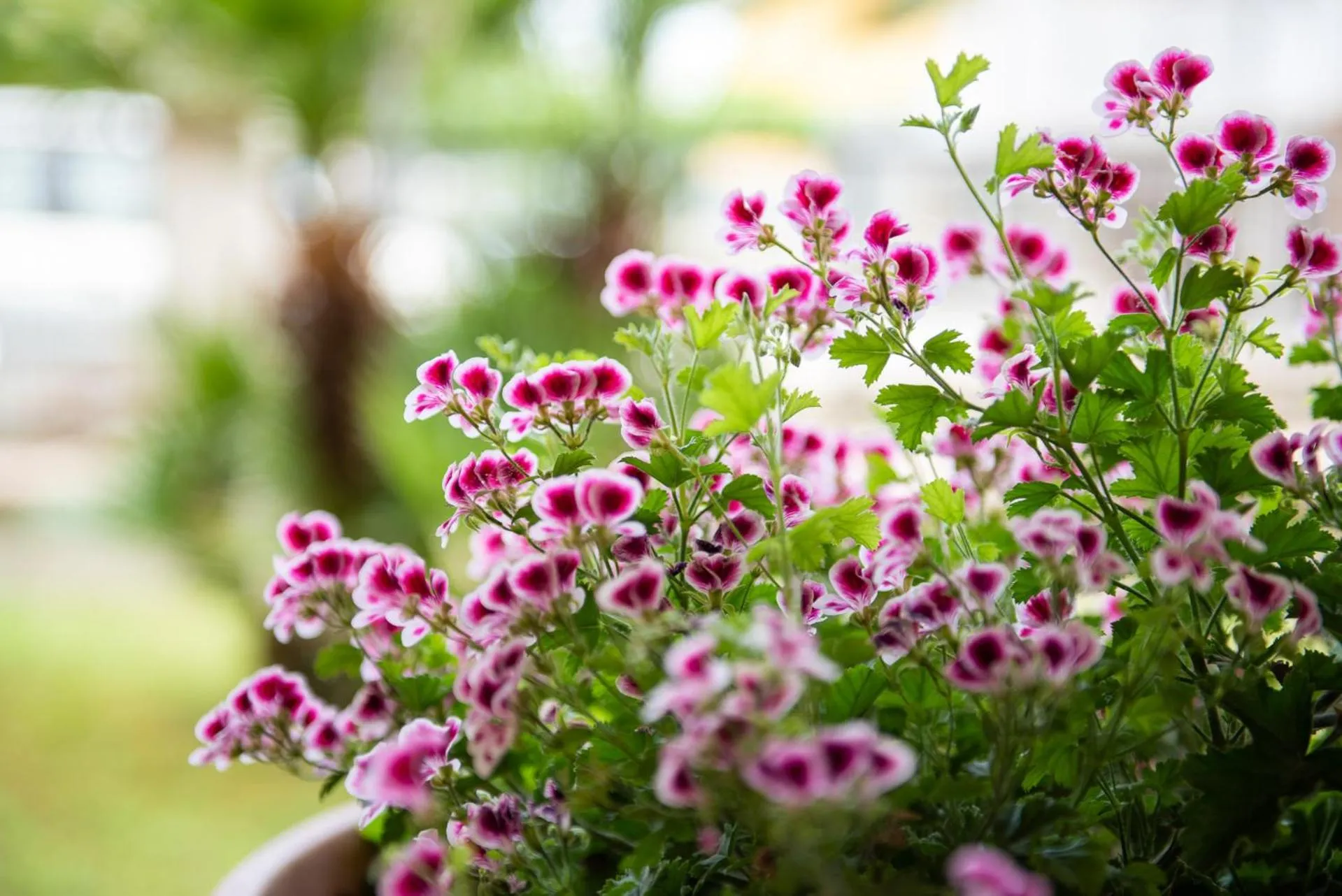 Property building in Residence Daniele