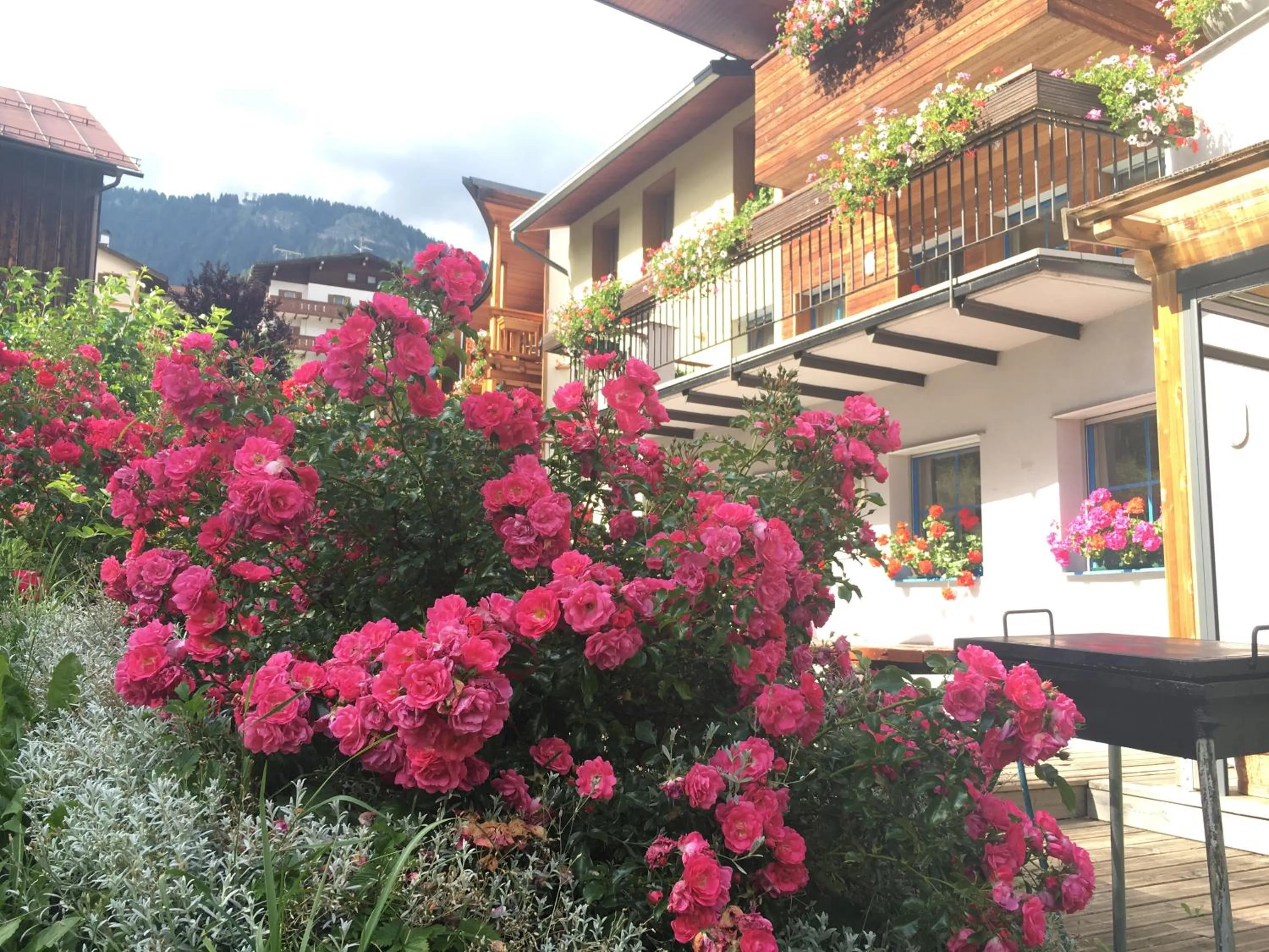 Garden in Garni Enrosadira