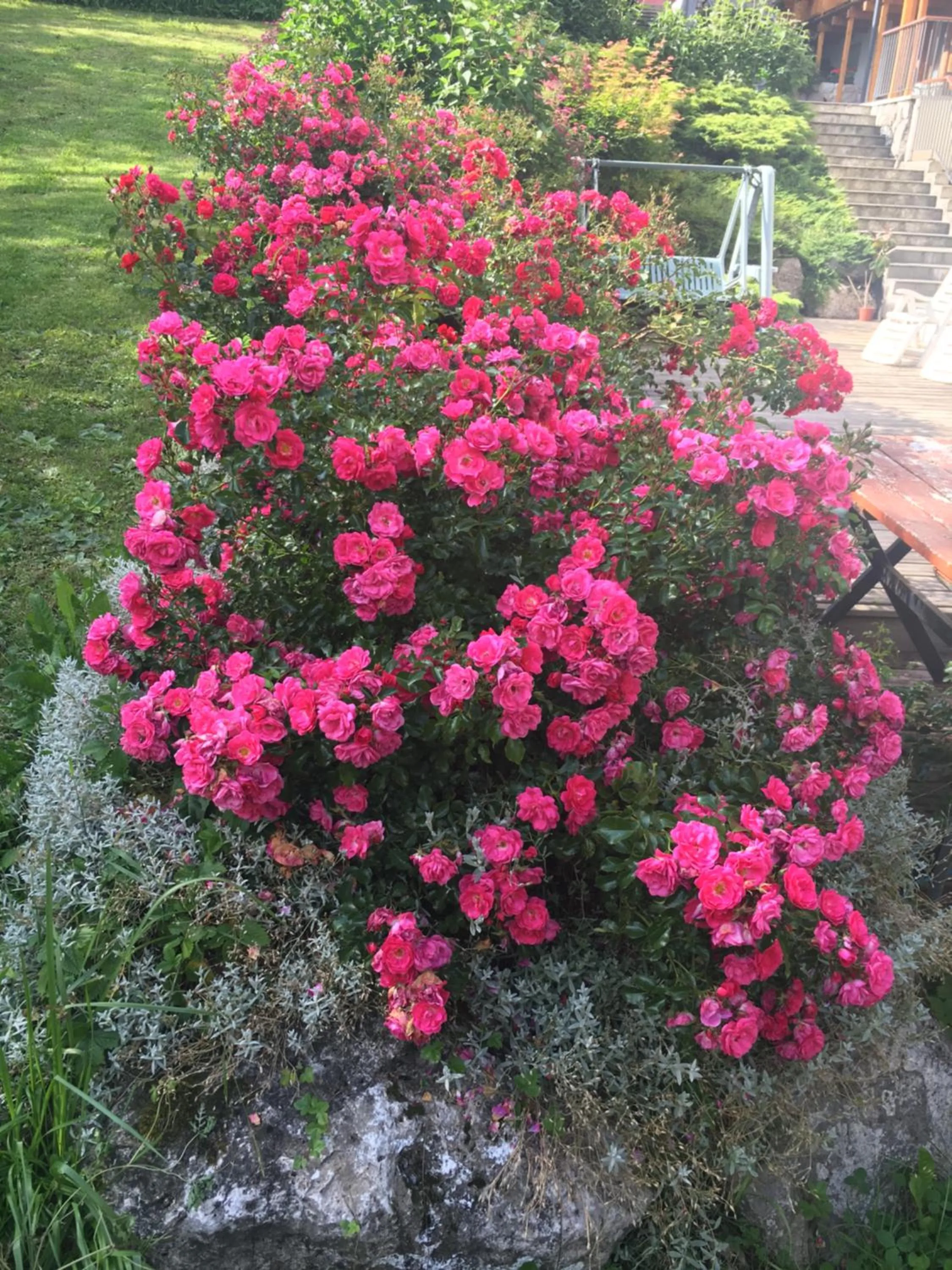 Garden in Garni Enrosadira