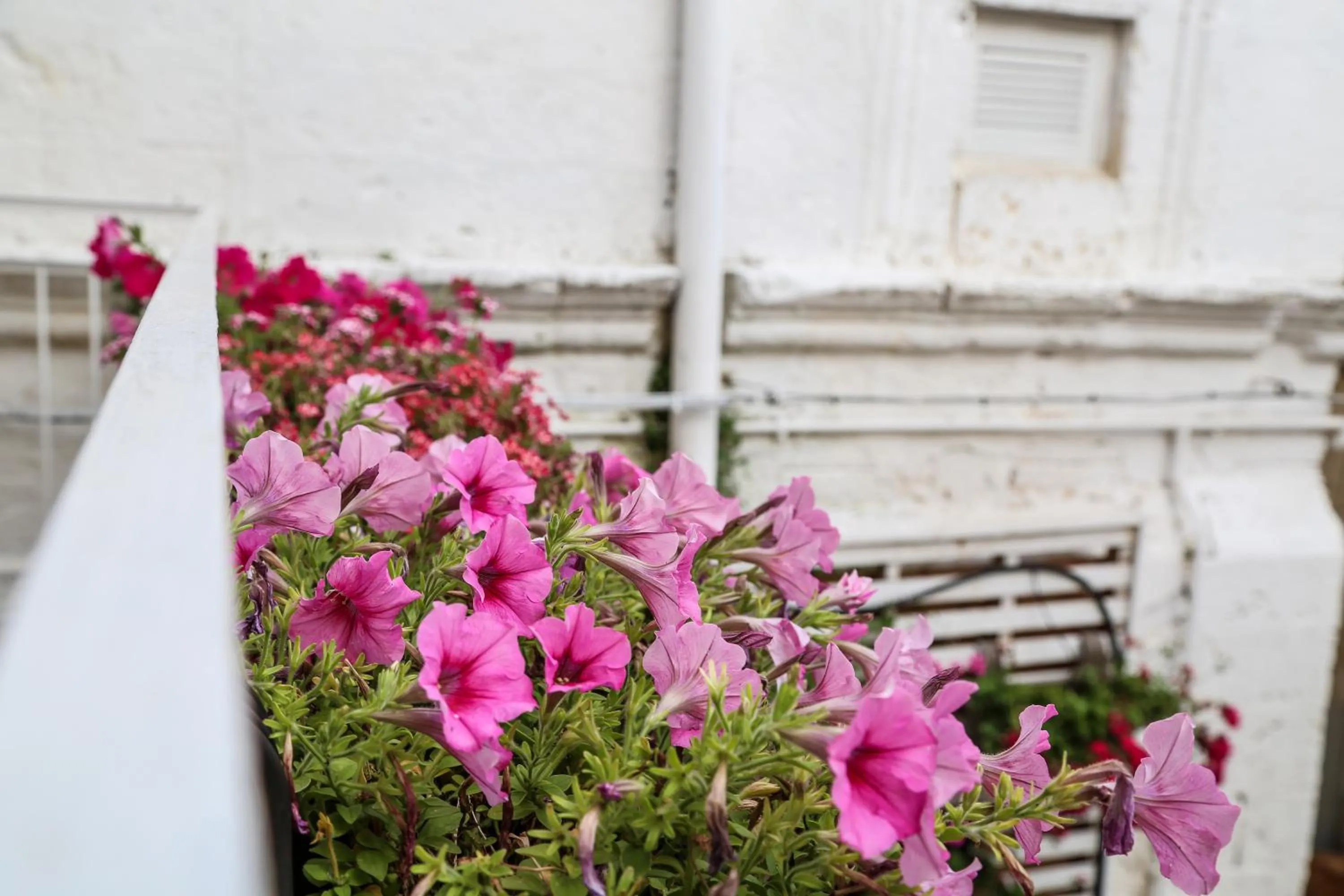 Balcony/Terrace in The Bridge Suites