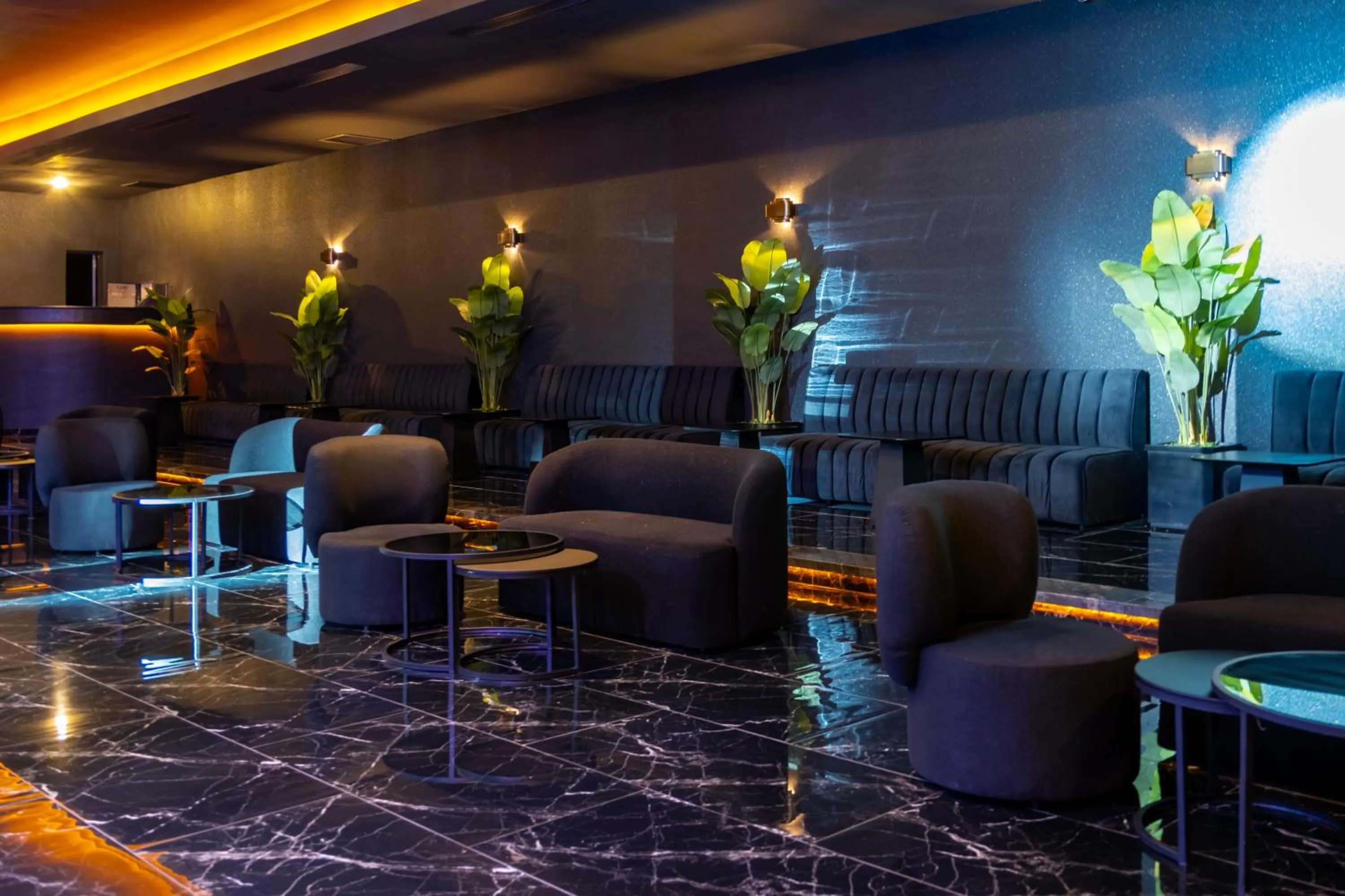 Nightclub / DJ in Mirage Park Resort-Ultra All Incl.