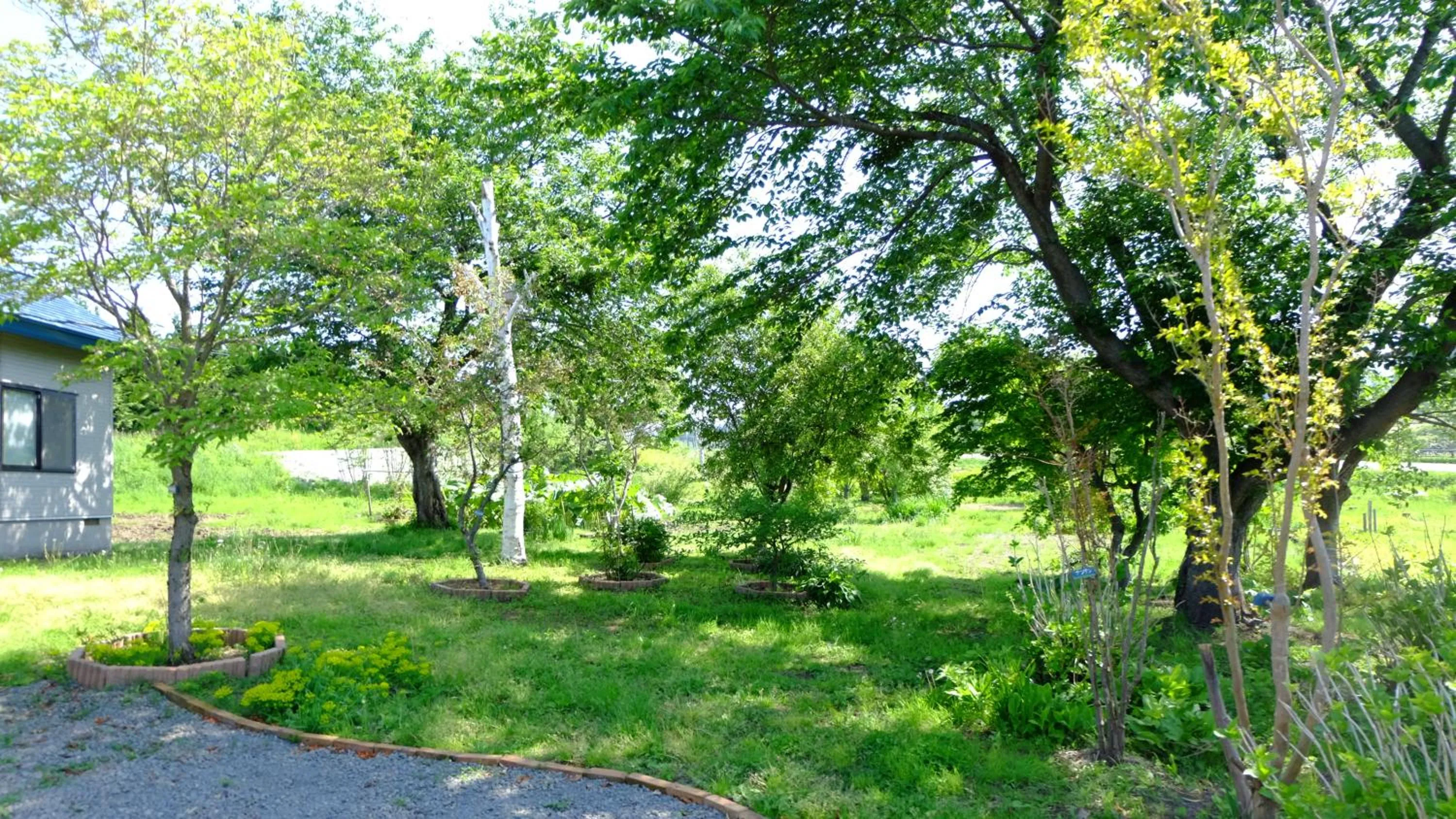 Hoshino Oka in Owani