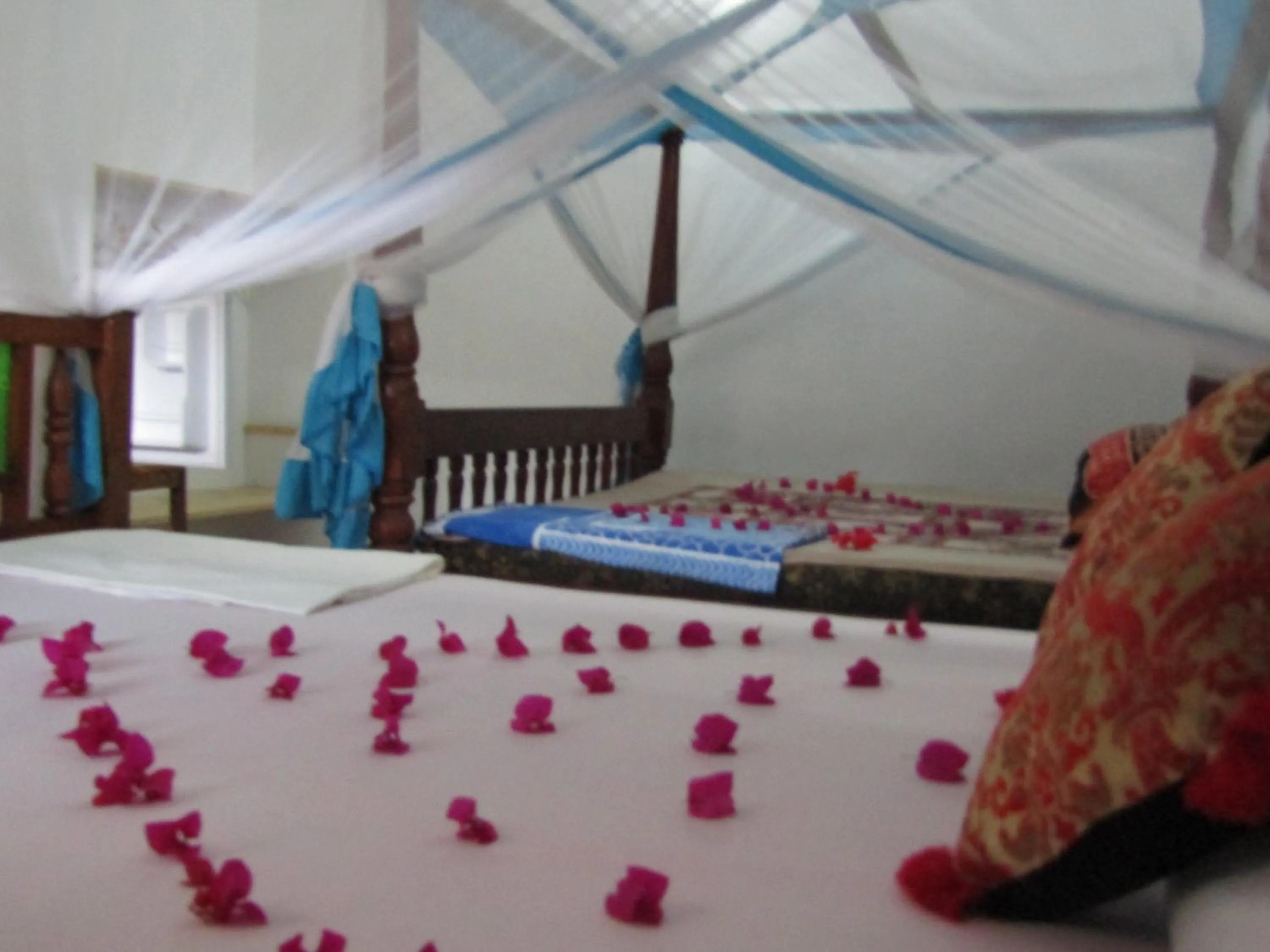 Photo of the whole room, Bed in Kivulini Lodge and Restaurant