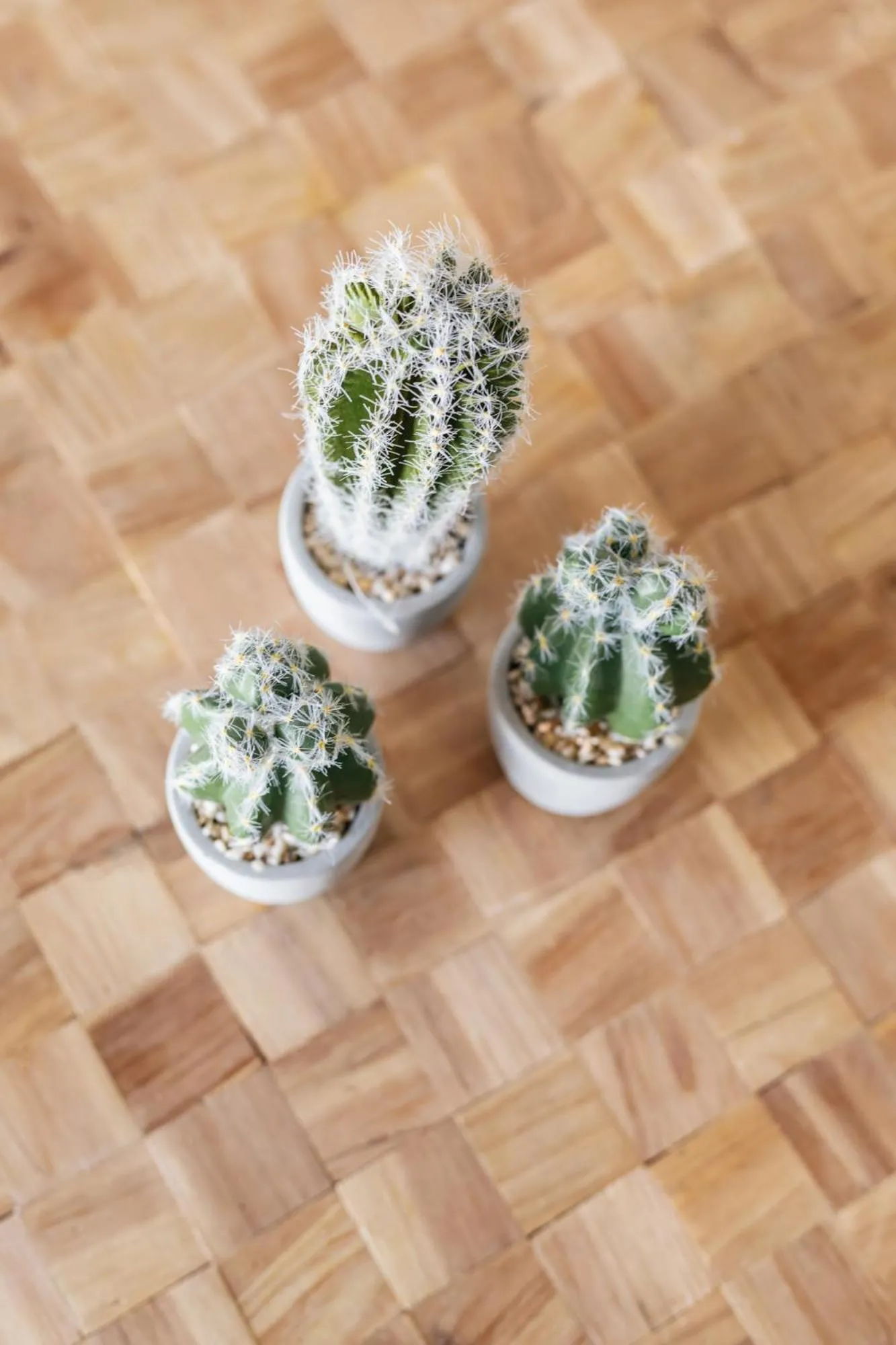 Decorative detail in Minthi Boutique Apartments