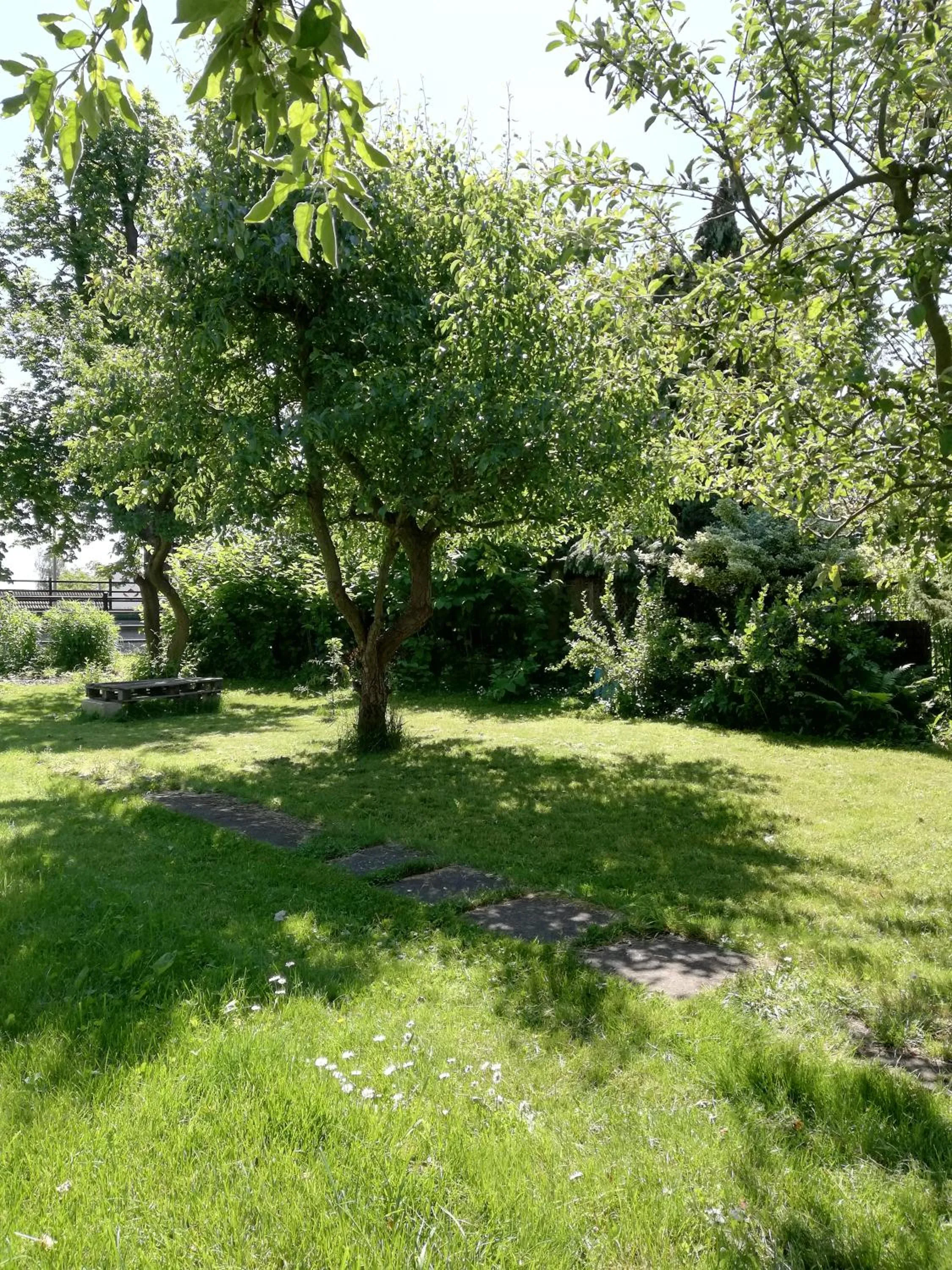 Hostel Mamas & Papas