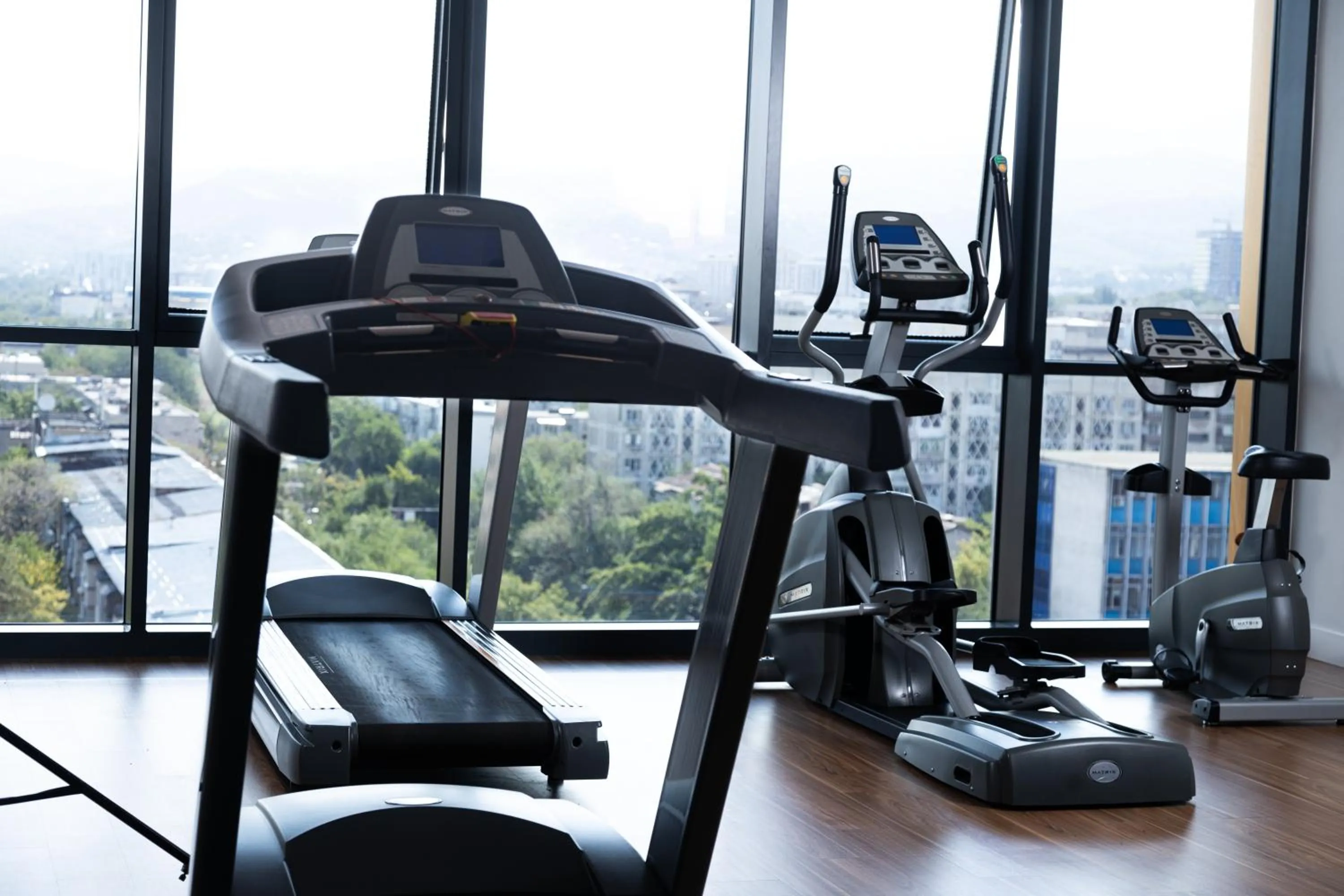 Fitness centre/facilities in Mercure Almaty City Center