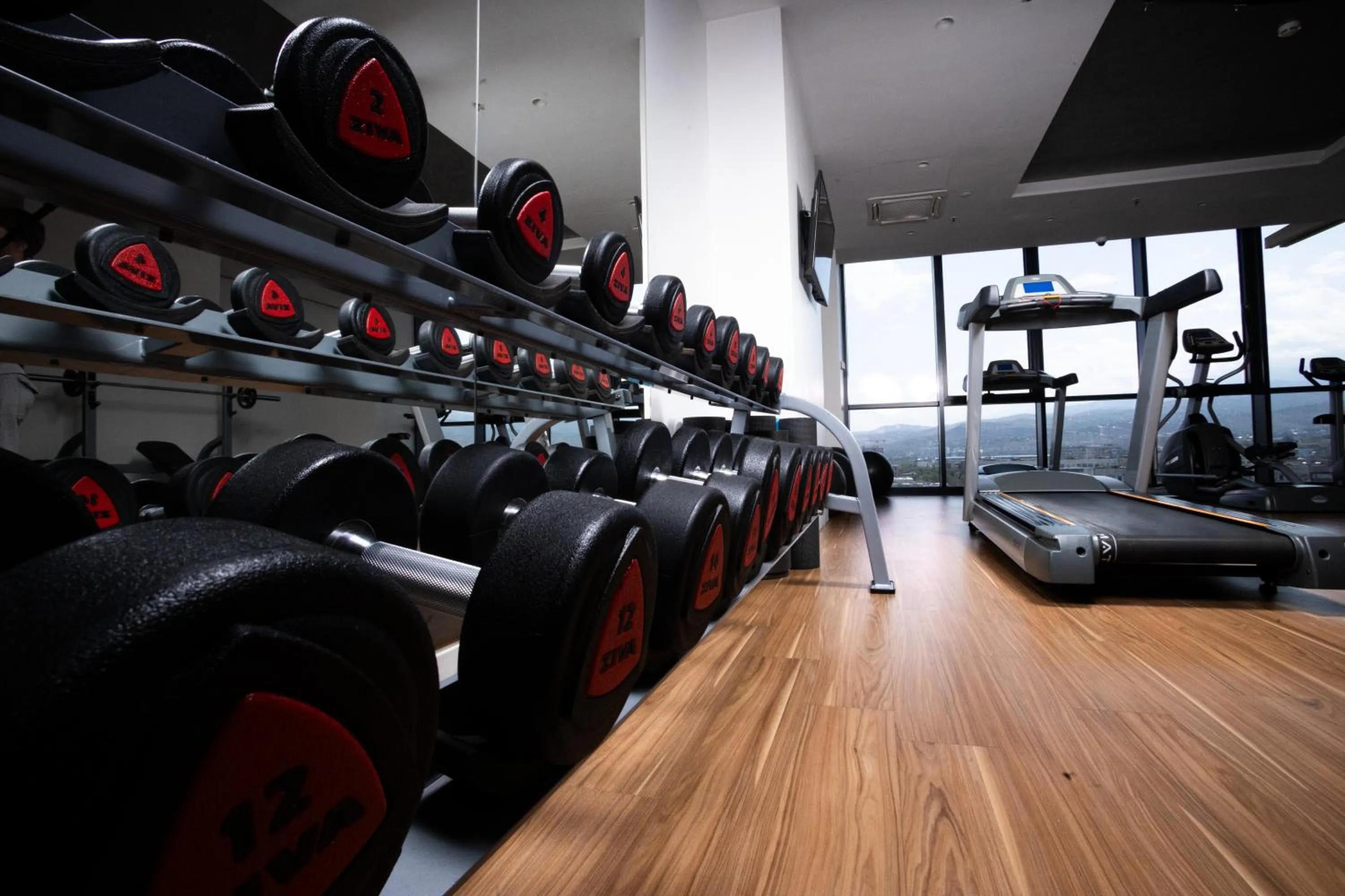 Fitness centre/facilities in Mercure Almaty City Center
