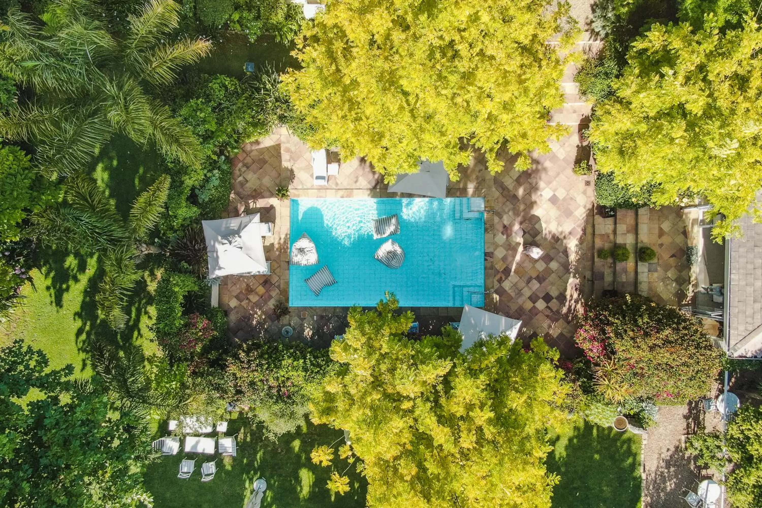 Last Word Constantia