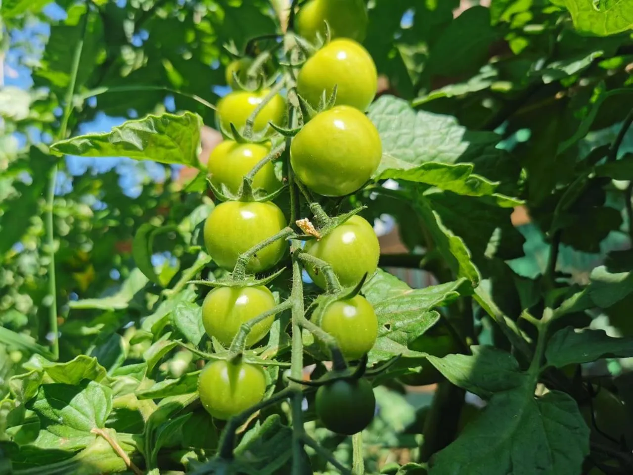 Landmark view in Fauna Hotel