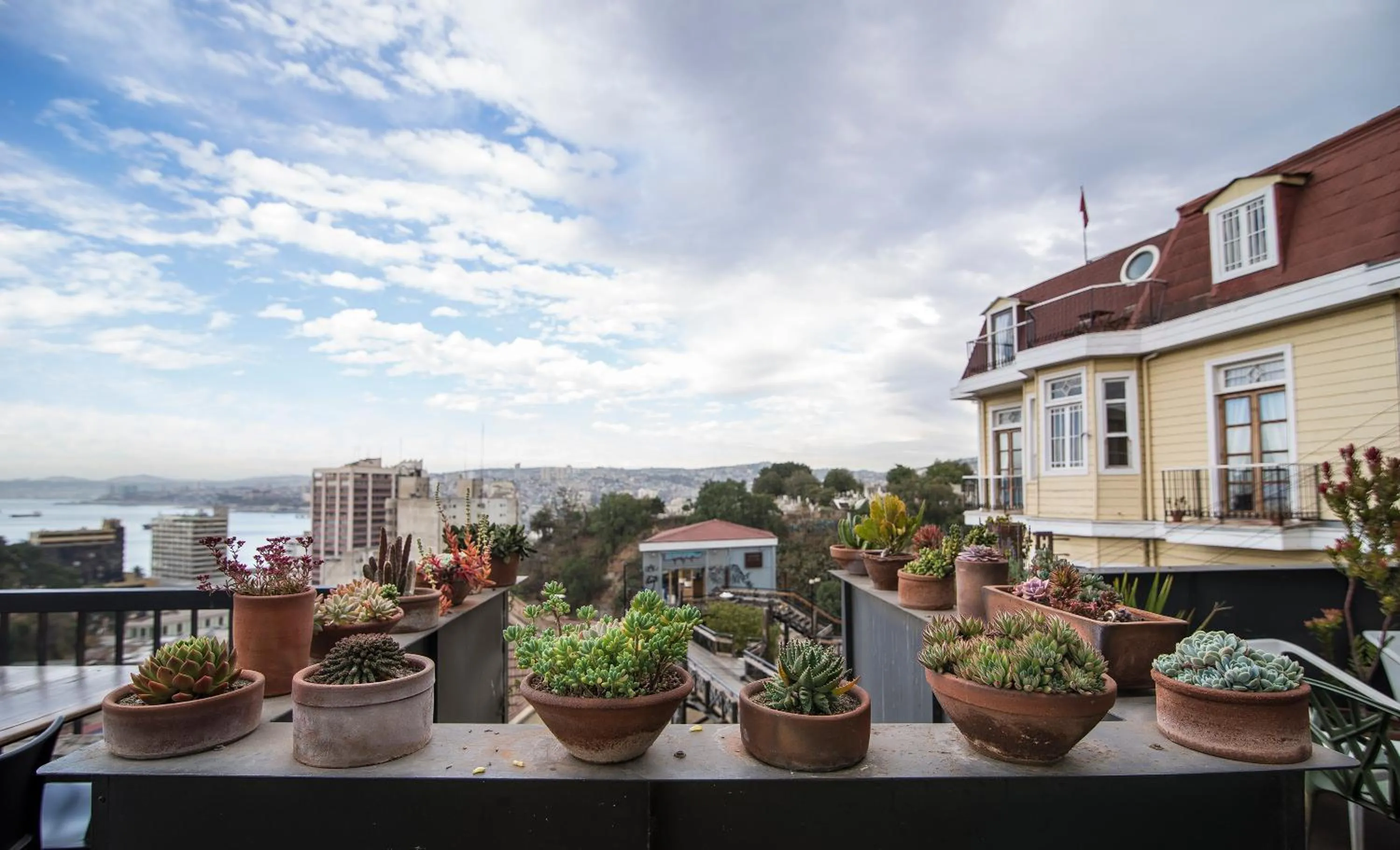 Restaurant/places to eat in Fauna Hotel