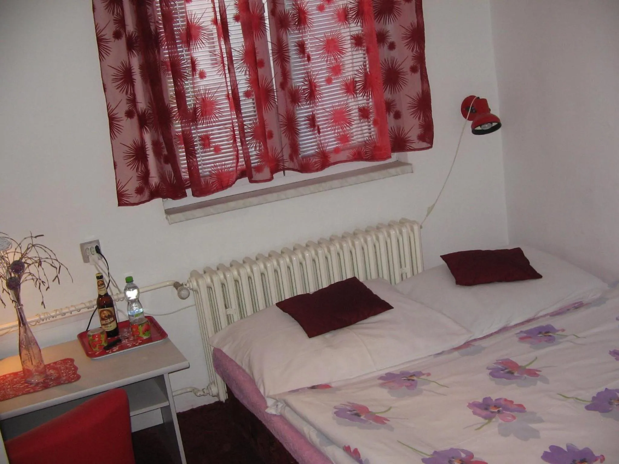 Double Room in Penzion Zavodsky