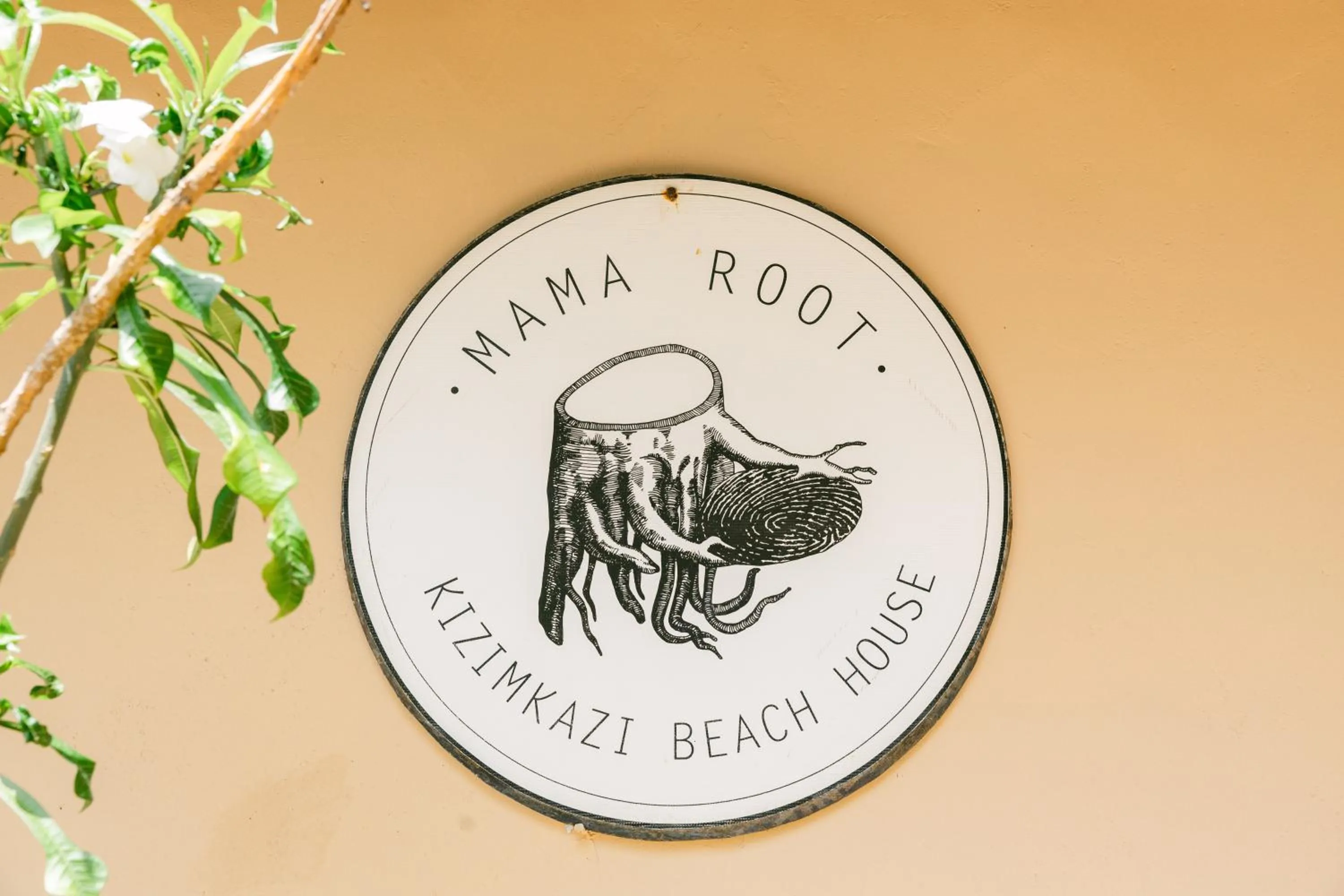 Property logo or sign in Mama Root