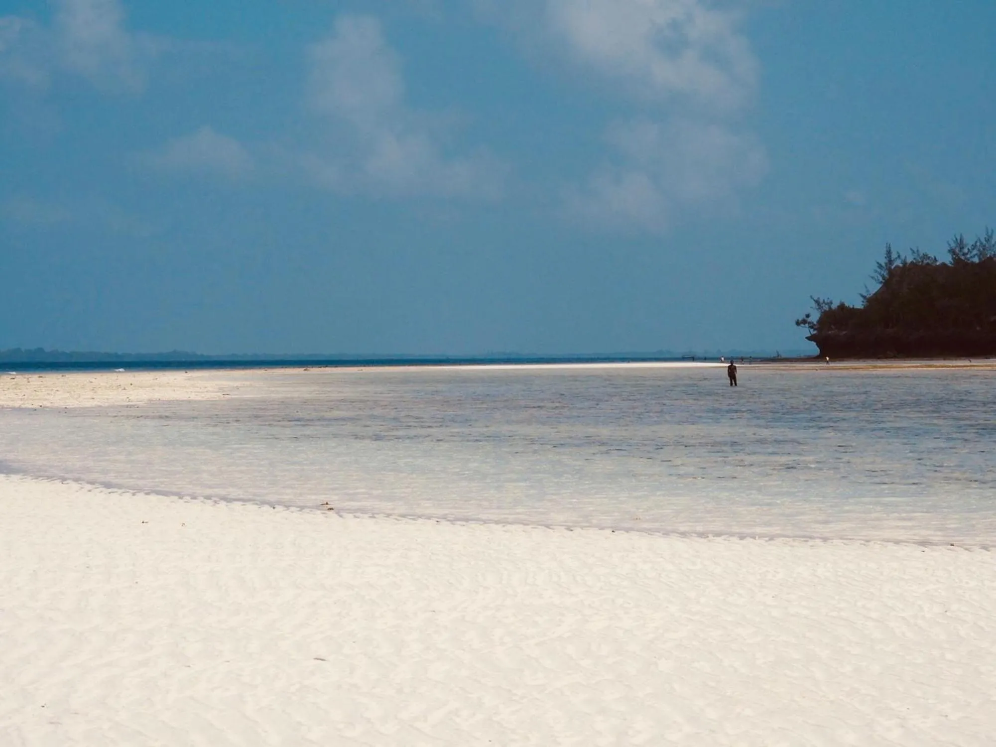 Beach in Mama Root