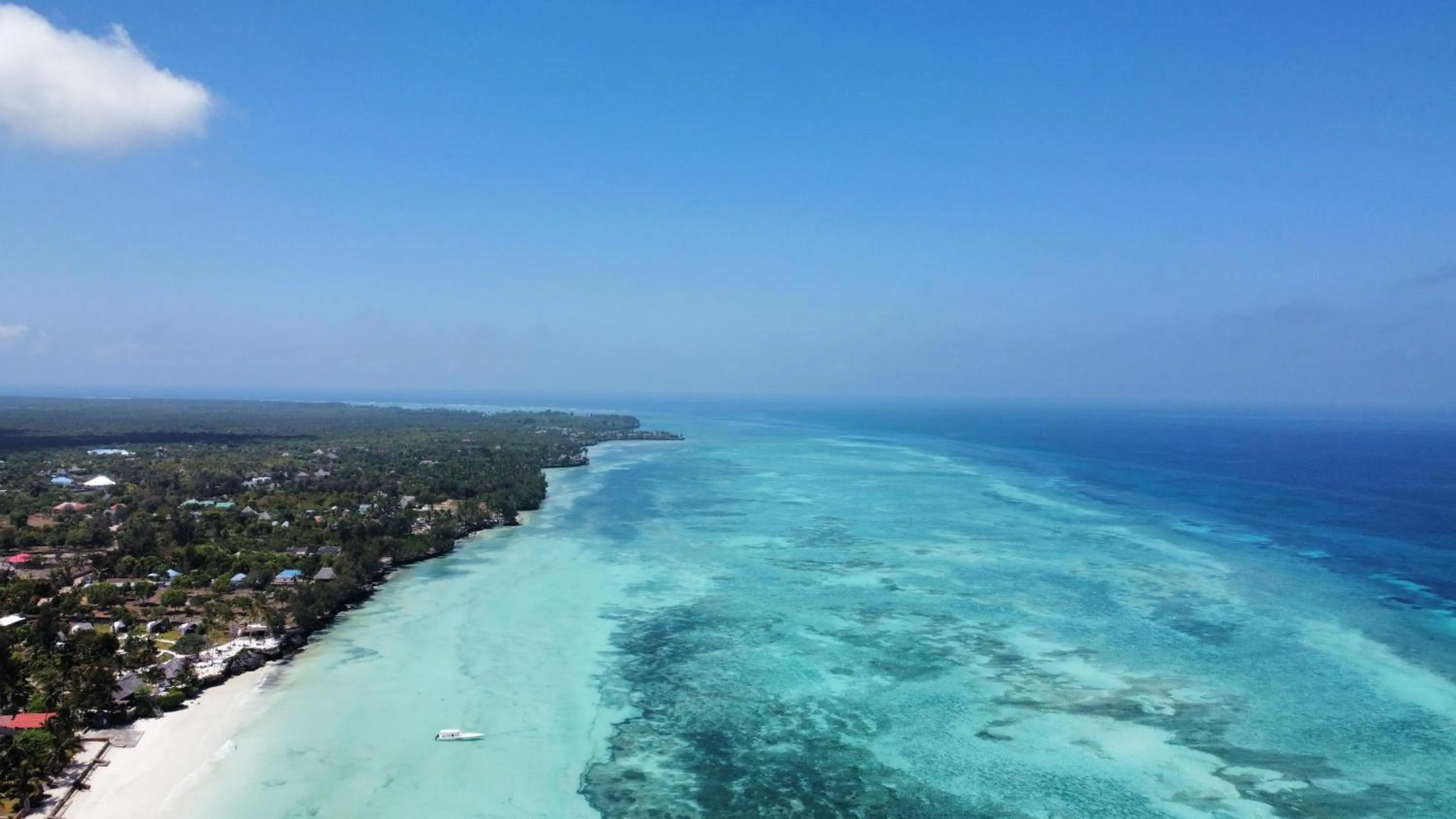 Beach in Mama Root